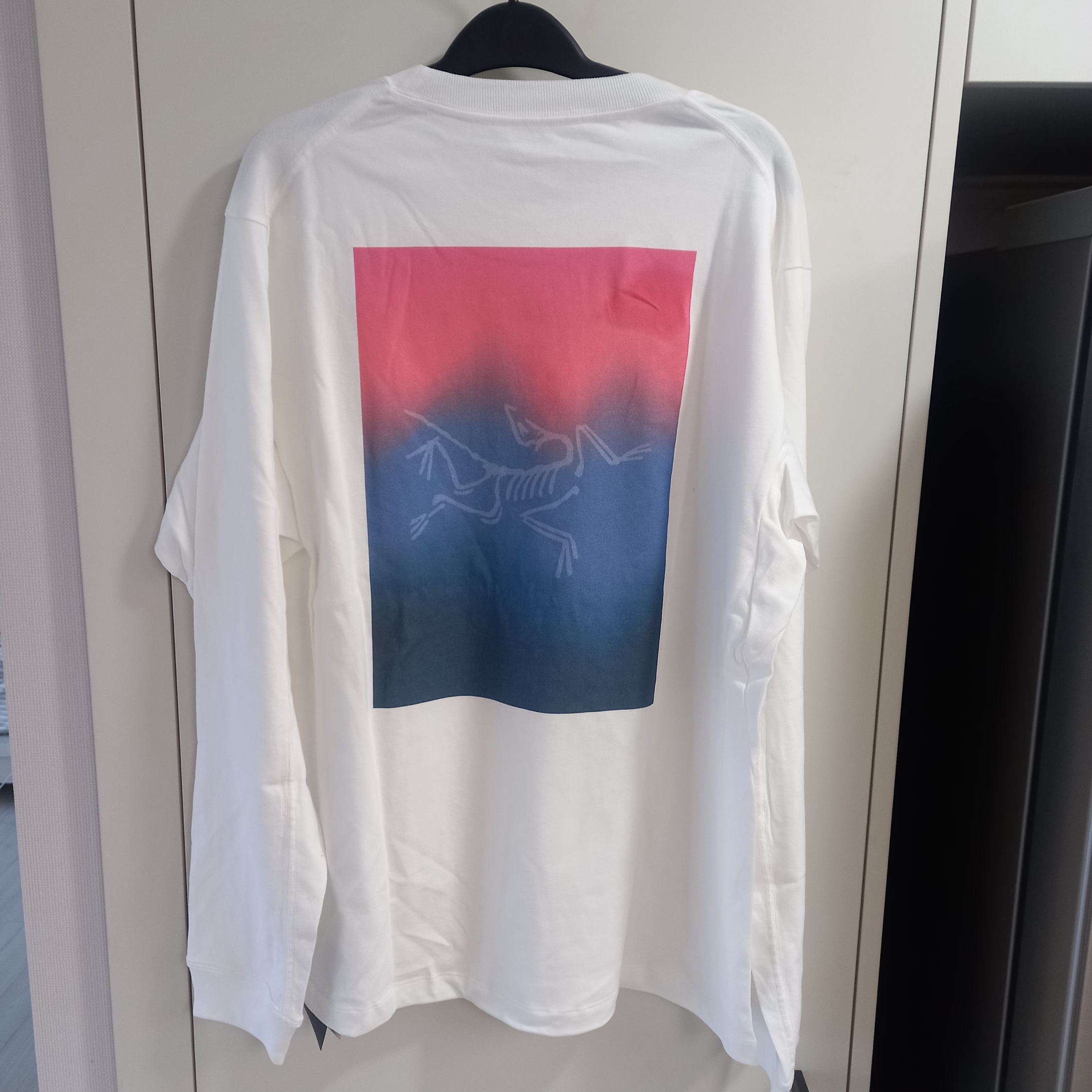 Arc'teryx Kragg Cotton Heatmap LS T-Shirt White Light Multi 착용 스타일 - 1