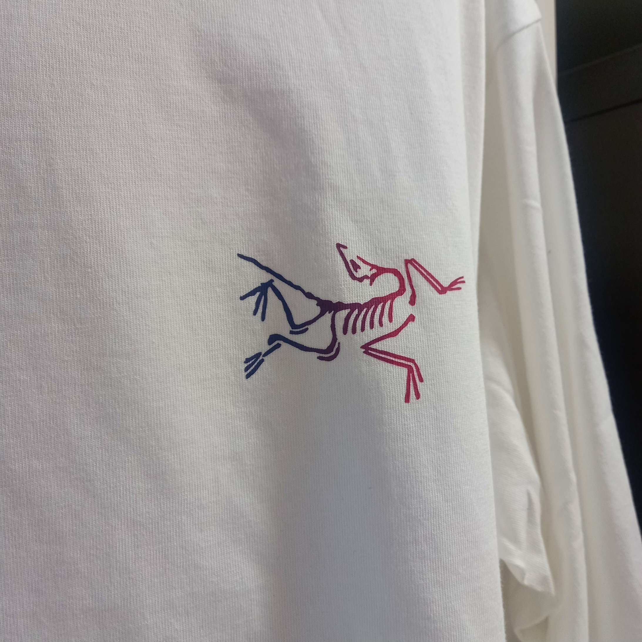 Arc'teryx Kragg Cotton Heatmap LS T-Shirt White Light Multi 착용 스타일 - 3