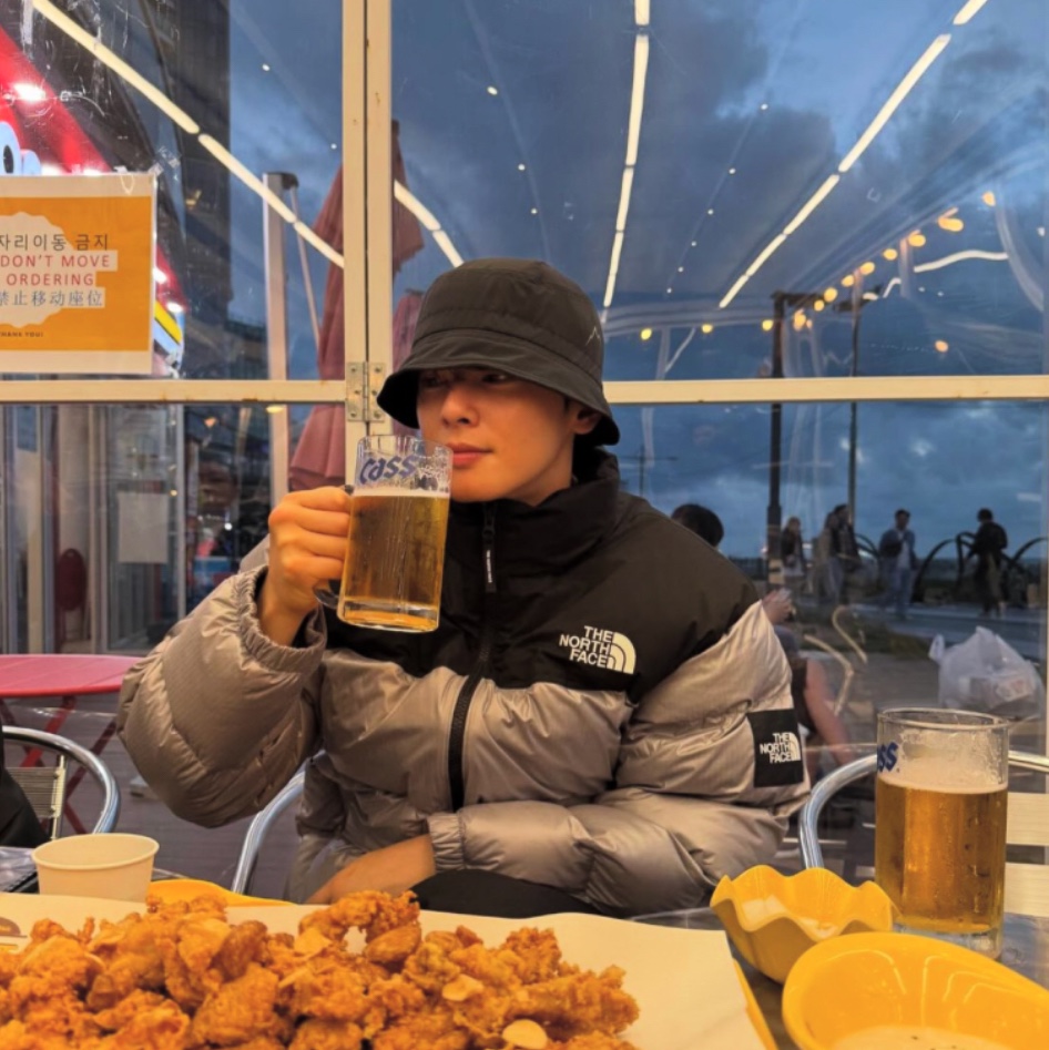 The North Face White Label Novelty Nuptse Down Jacket Heather Gray 착용 스타일 - 1