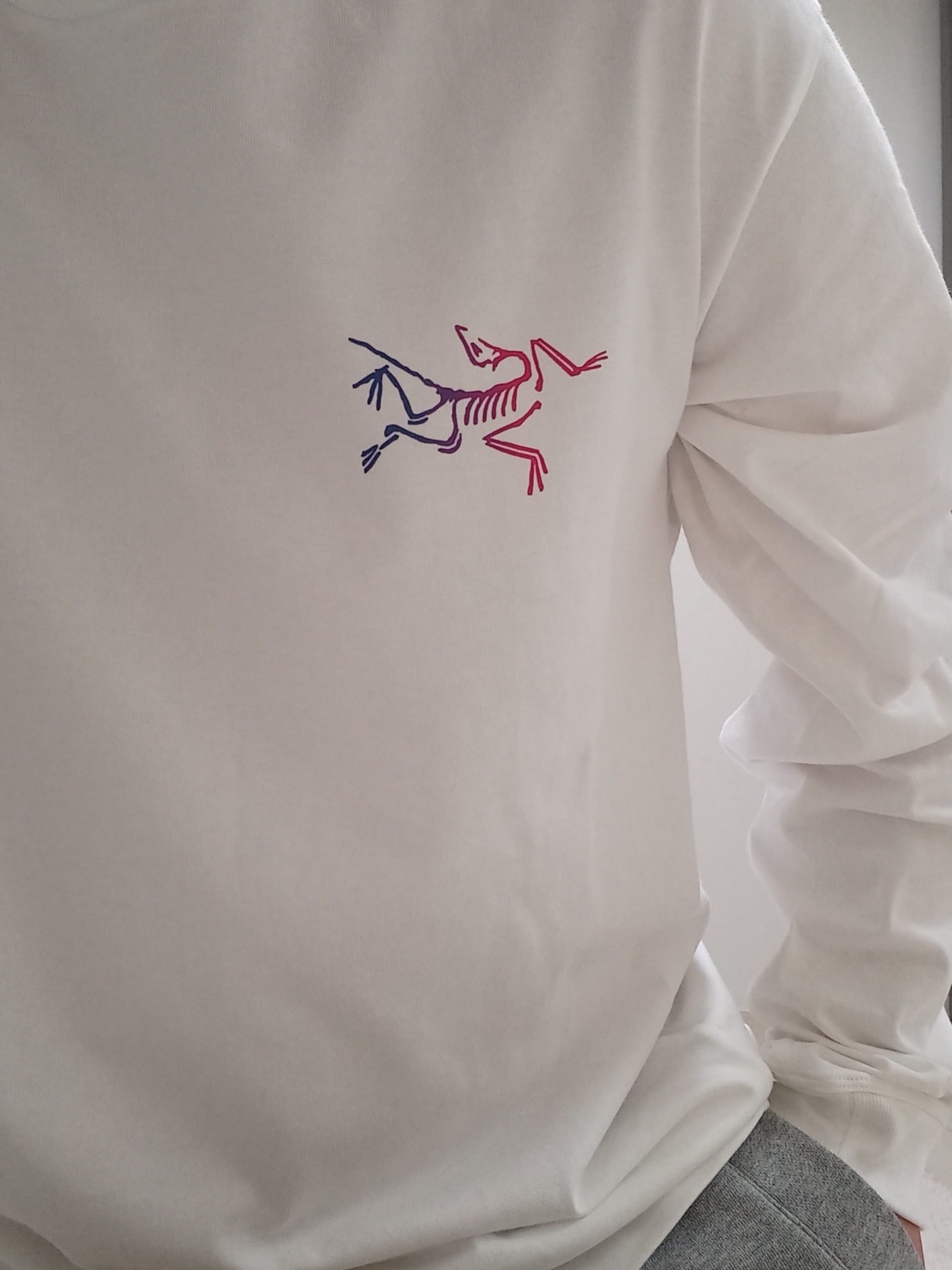 Arc'teryx Kragg Cotton Heatmap LS T-Shirt White Light Multi, Arc'teryx Small Bird Cap Black 착용 스타일 - 4