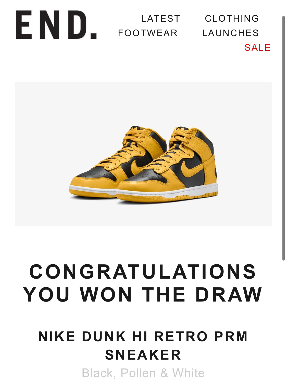 Nike Wu-Tang Clan Dunk High Black and Pollen 착용 스타일