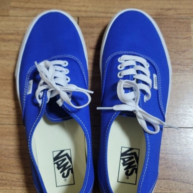 Vans Authentic Color Theory Dazzling Blue 착용 스타일