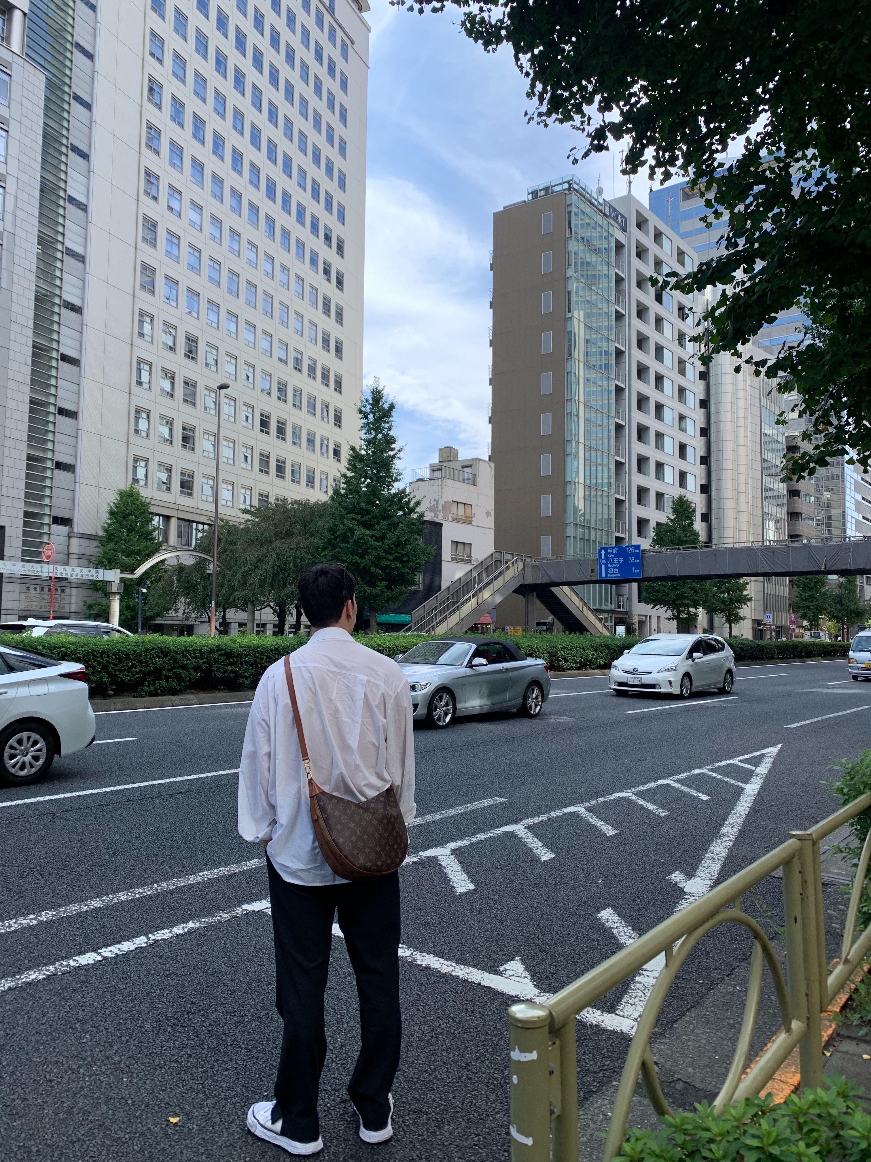 Louis Vuitton Loop Hobo Monogram, Maison Mihara Yasuhiro Peterson OG Sole Canvas Low Sneakers White 착용 스타일 - 1