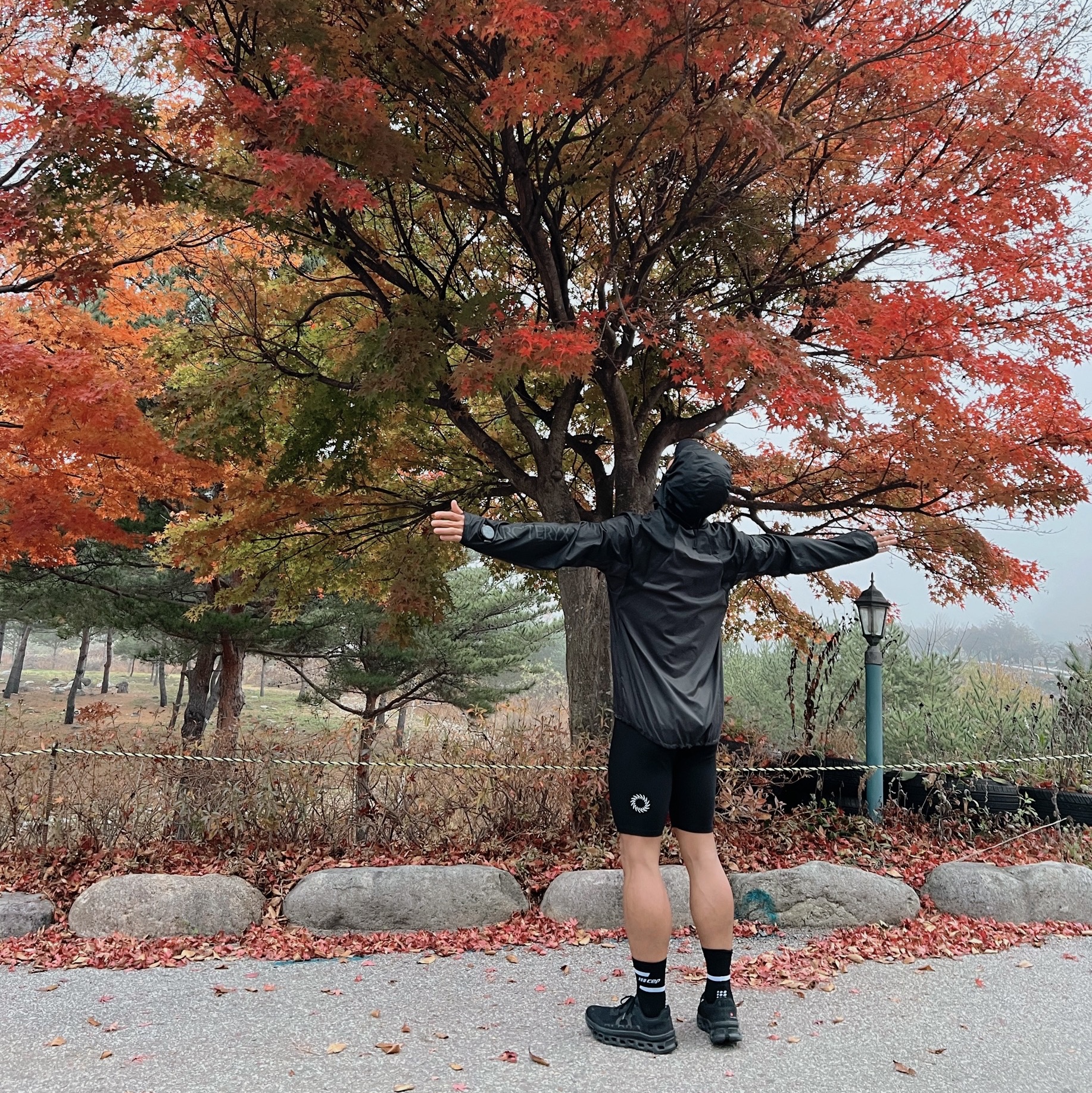 Arc'teryx Norvan Windshell Hoody Black Graphite, UVU Half Tights Black 착용 스타일