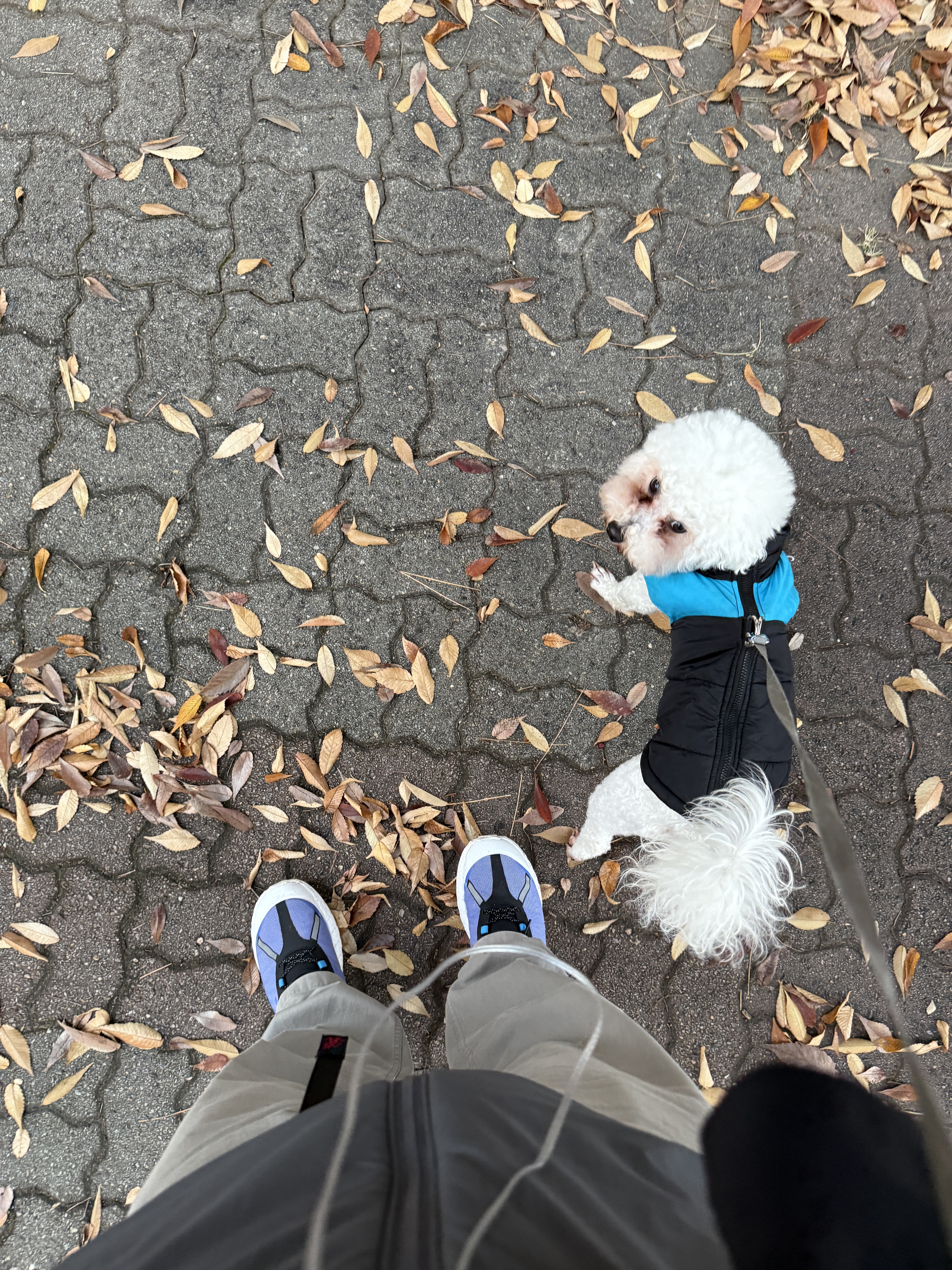 Norda x Ray Zahab 001 Azure Blue, Arc'teryx LEAF Atom LT Hoody Gen 2 Wolf 착용 스타일