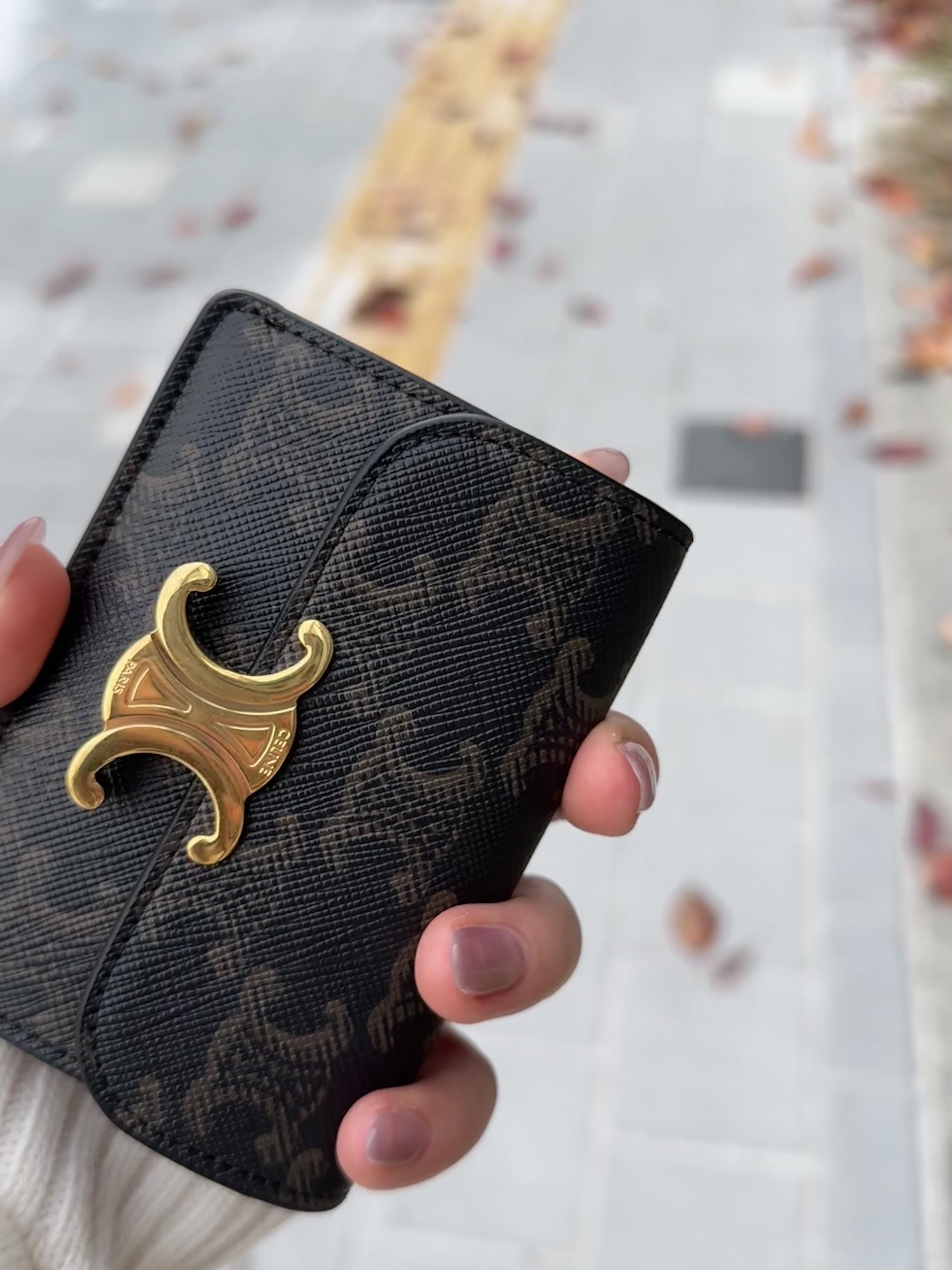 Celine Card Holder with Flap in Triomphe Canvas Tan 착용 스타일 - 2