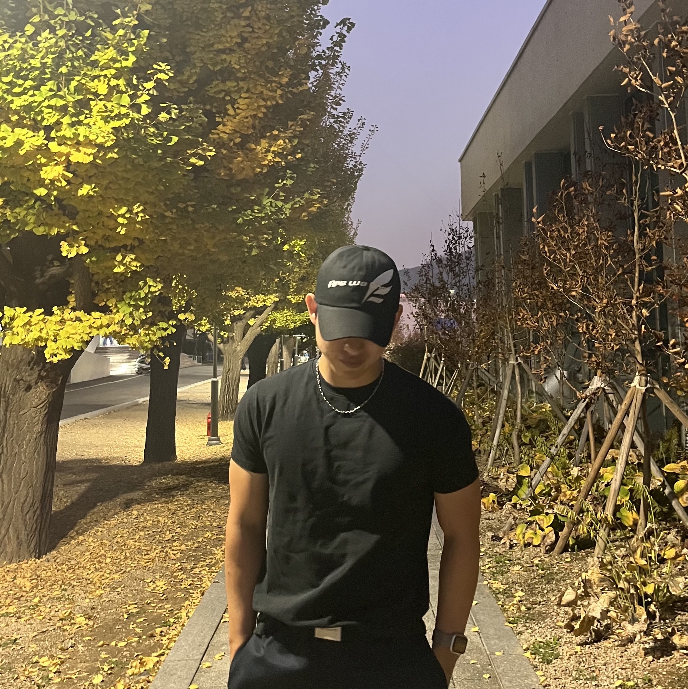 DVAN Wing Emb Ball Cap Black 착용 스타일 - 2