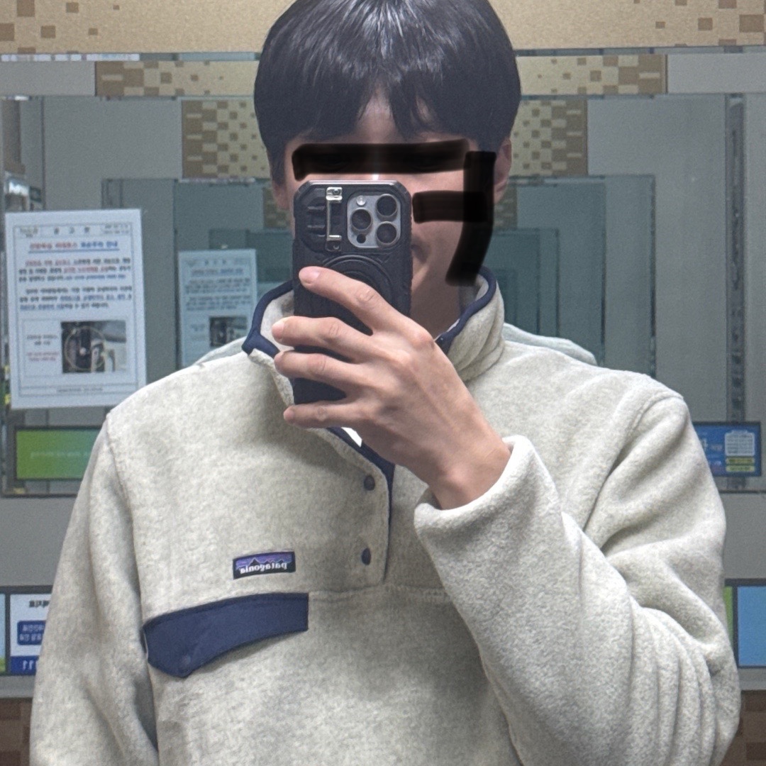 Patagonia Lightweight Synchilla Snap-T Fleece Pullover Oatmeal Heather/Smolder Blue/New Navy 착용 스타일