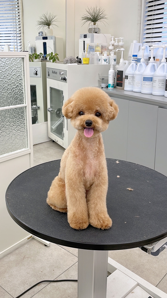 관심 유저 프로필 이미지