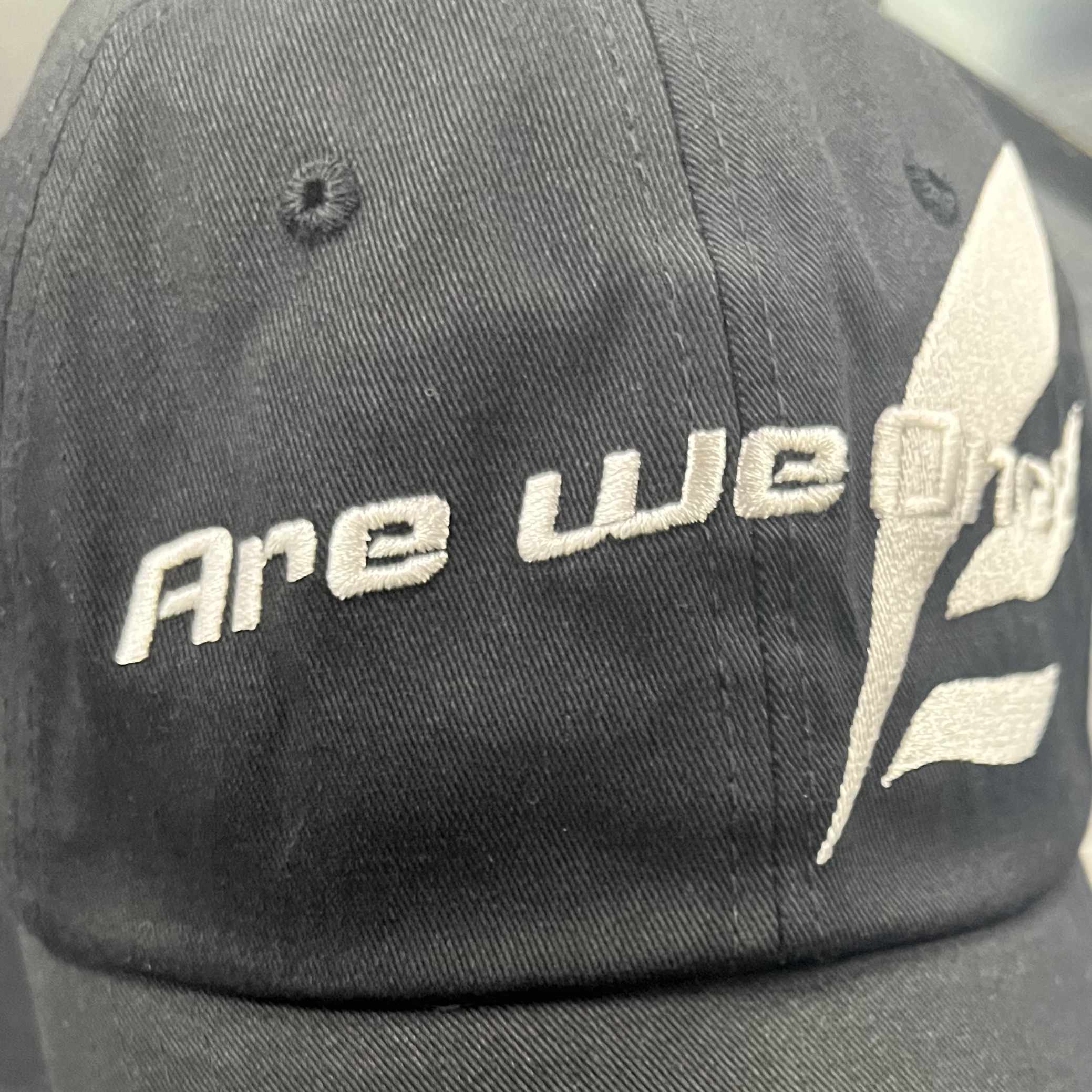DVAN Wing Emb Ball Cap Black 착용 스타일 - 3