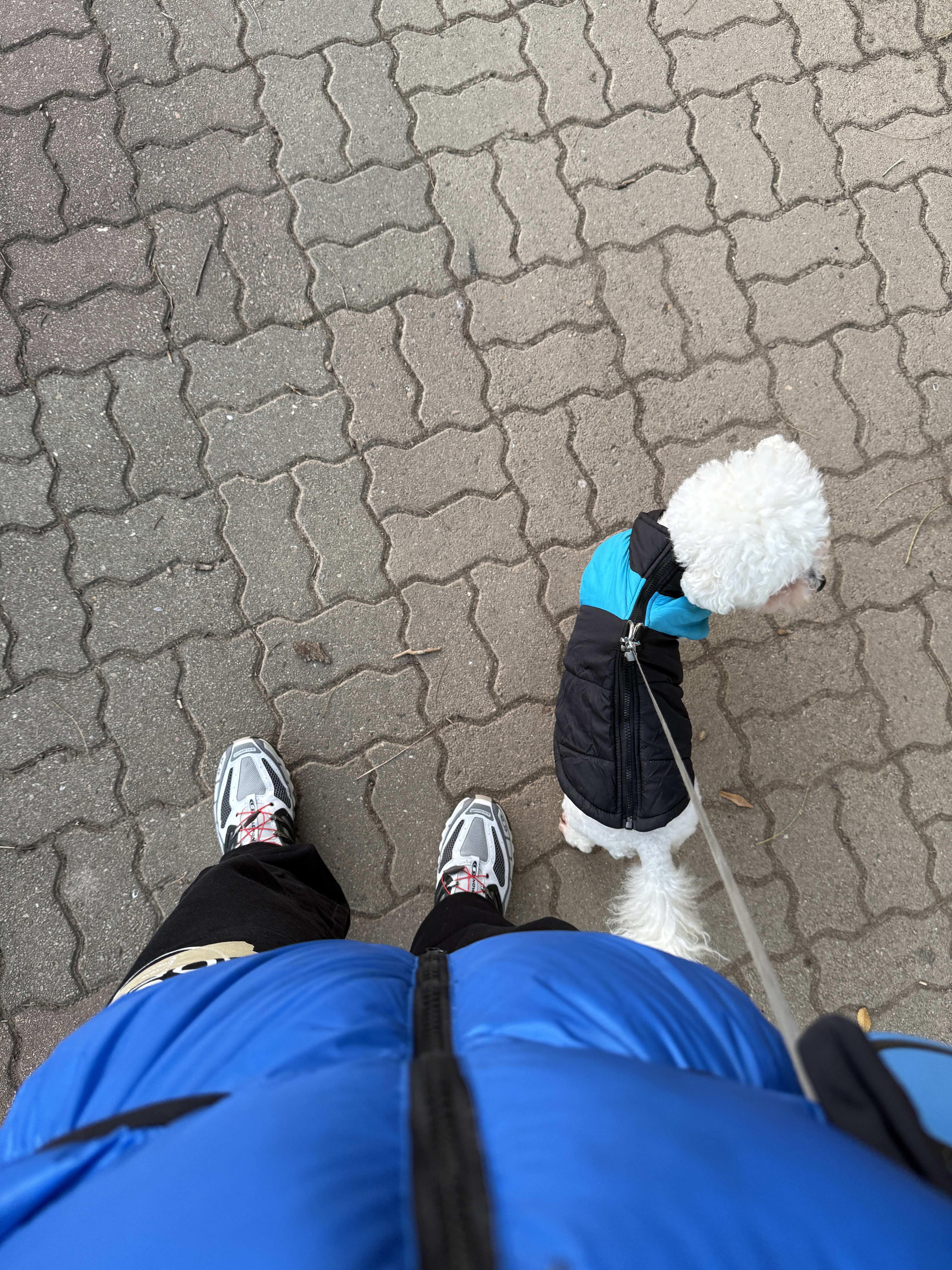 Feathered Friends Helios Hooded Down Jacket Arctic 착용 스타일
