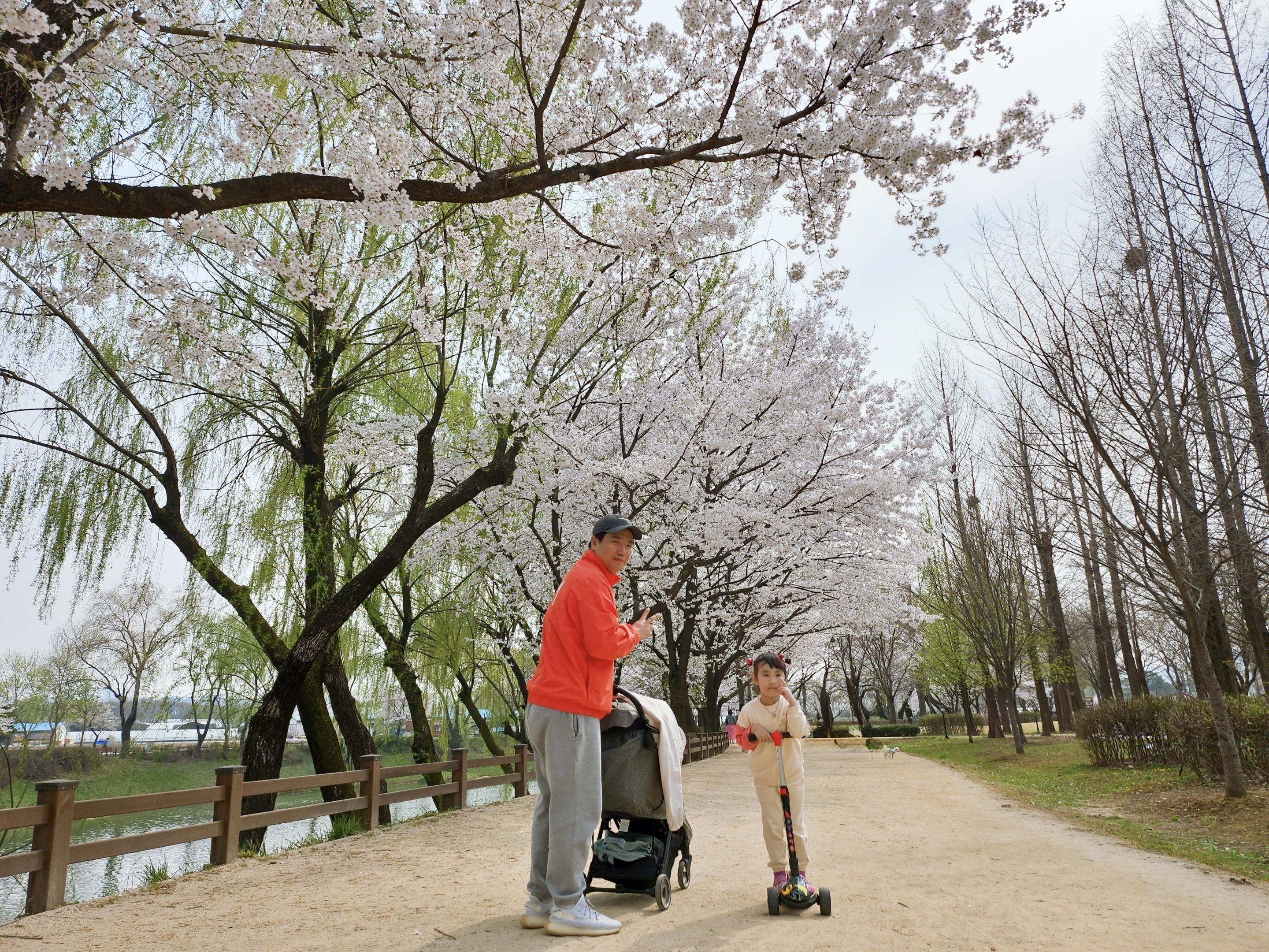 Nike x Stussy Windrunner Jacket Habanero Red, Nike NRG Solo Swoosh Fleece Pants Dark Grey Heather - Asia 착용 스타일