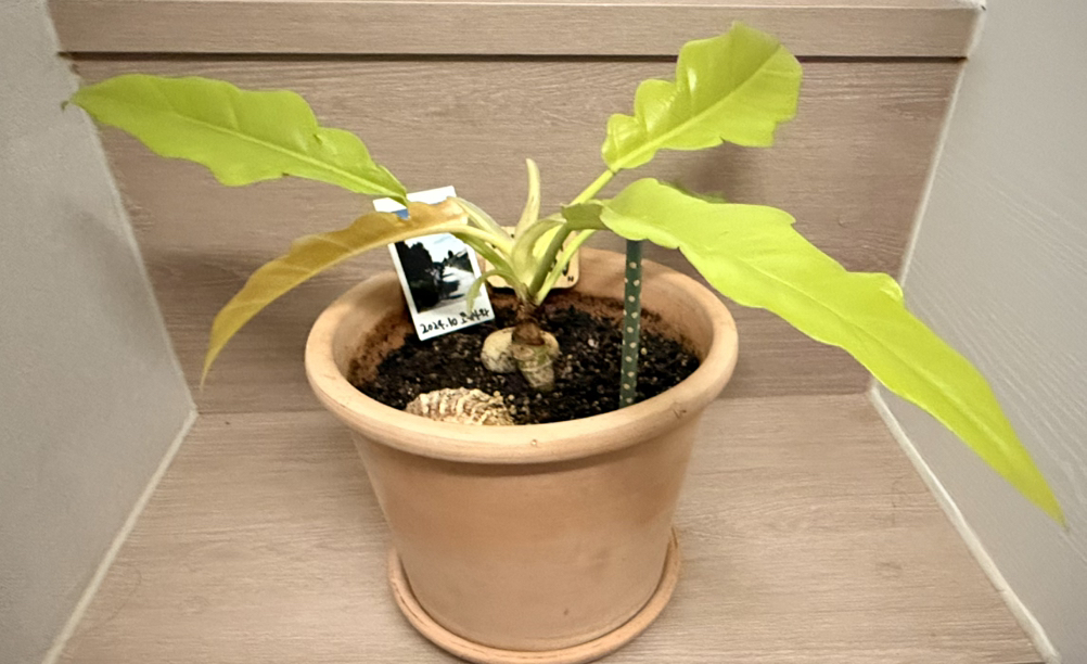 관심 유저 프로필 이미지