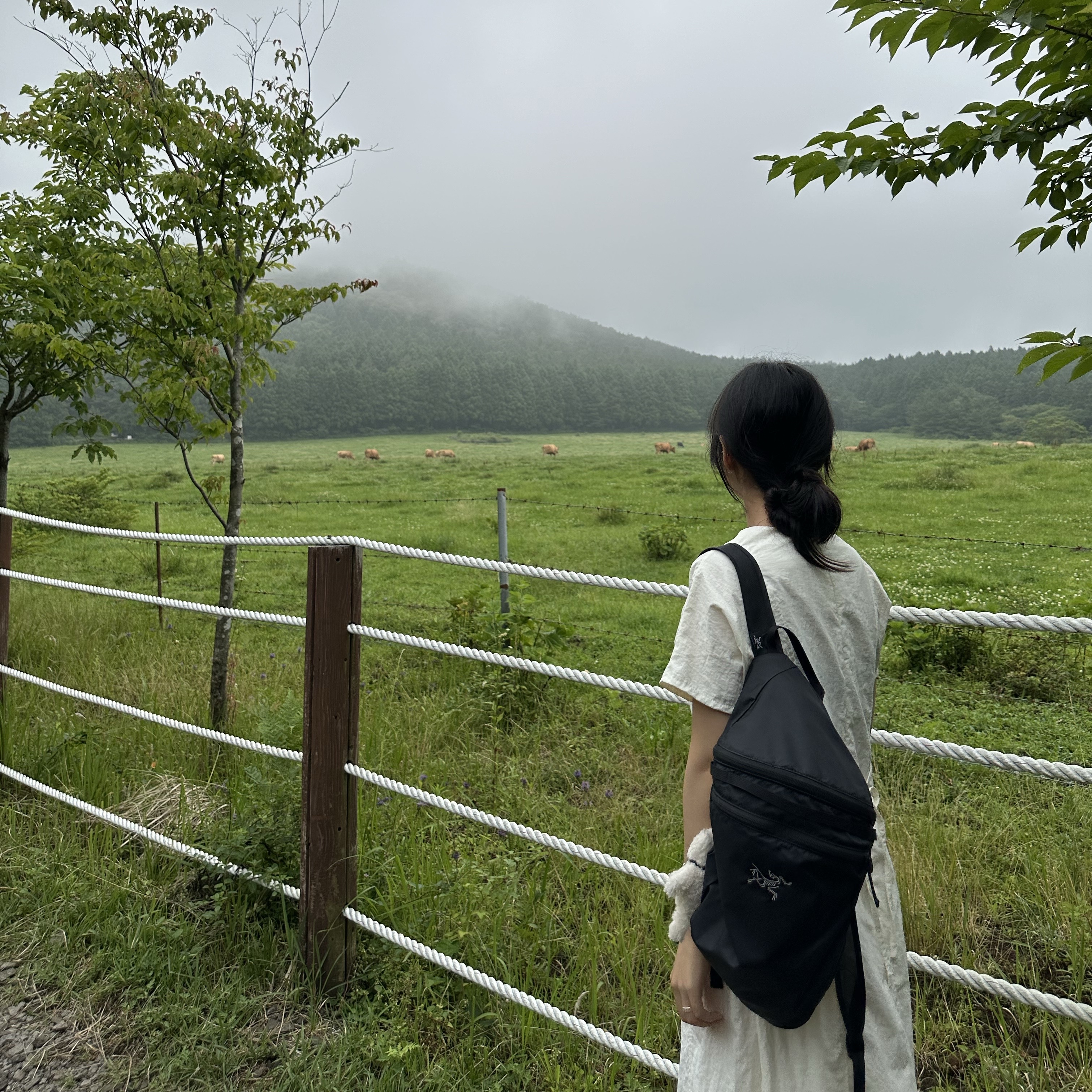 Arc'teryx Heliad 15 Backpack Black, Monamhee Creami Keyring Cream - KREAM Exclusive 착용 스타일