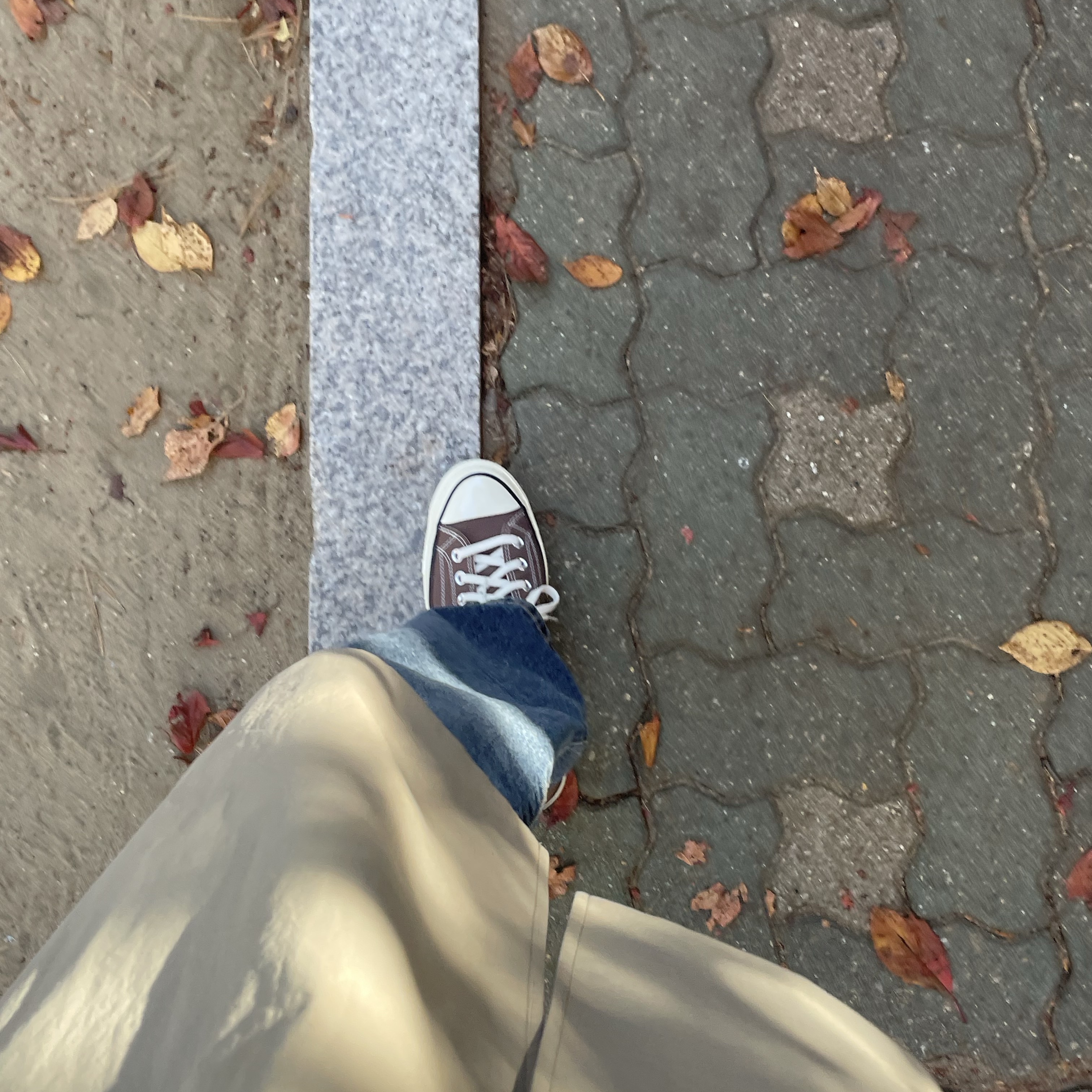 Converse Chuck 70 Ox Seasonal Color Squirrel Friend 착용 스타일