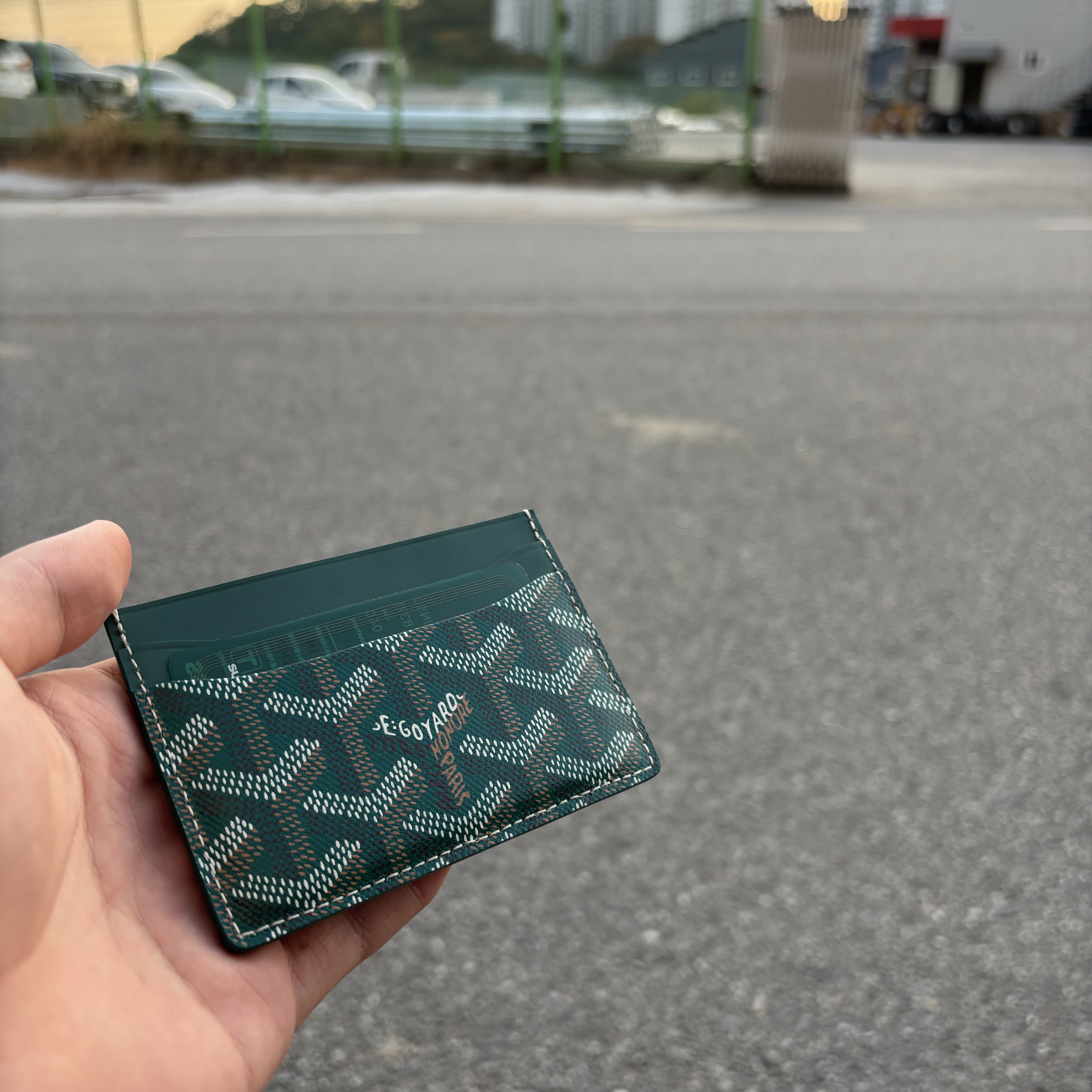 Goyard Saint Sulpice Card Holder Green 착용 스타일
