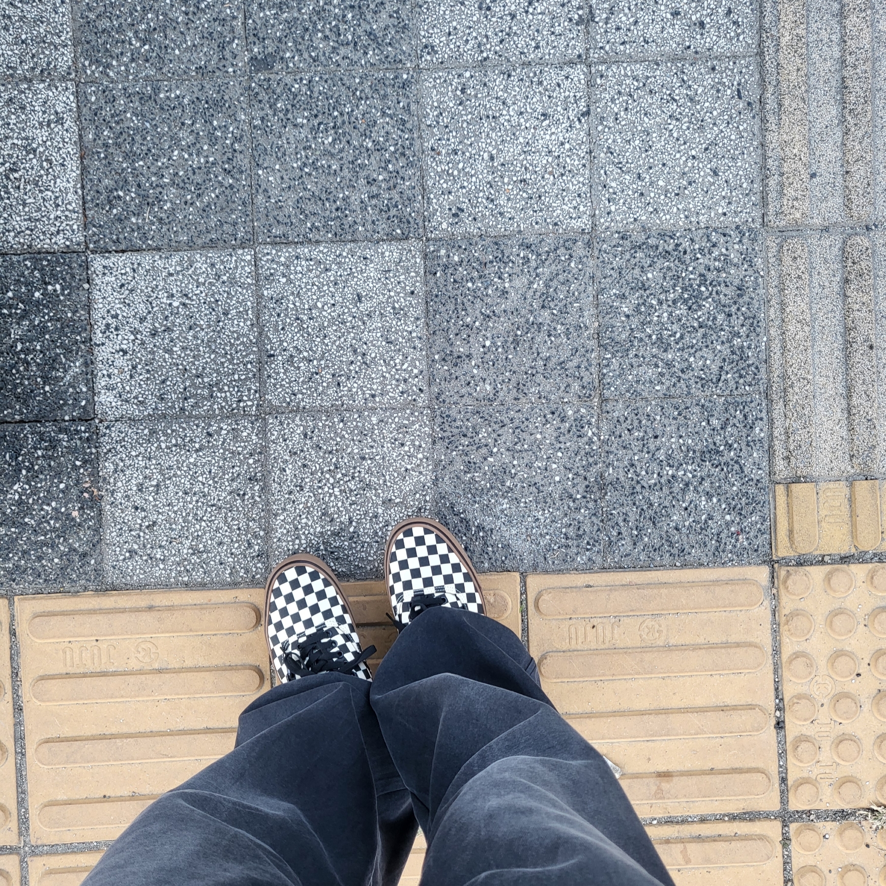 Vans Authentic Checkerboard Black White Gum 착용 스타일