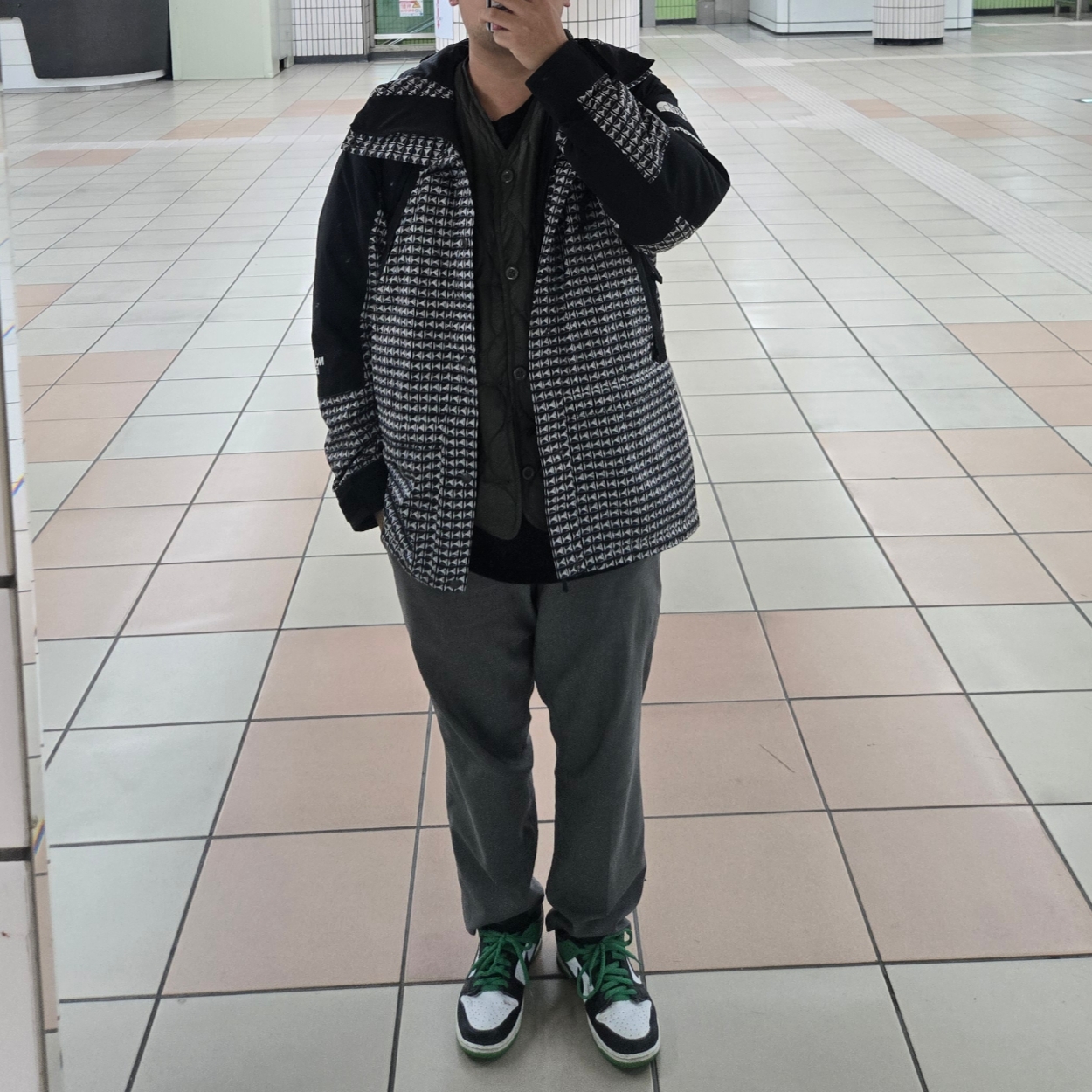 Supreme x The North Face Studded Mountain Light Jacket Black - 21SS, Nike SB Dunk Low Pro Black and Classic Green 착용 스타일