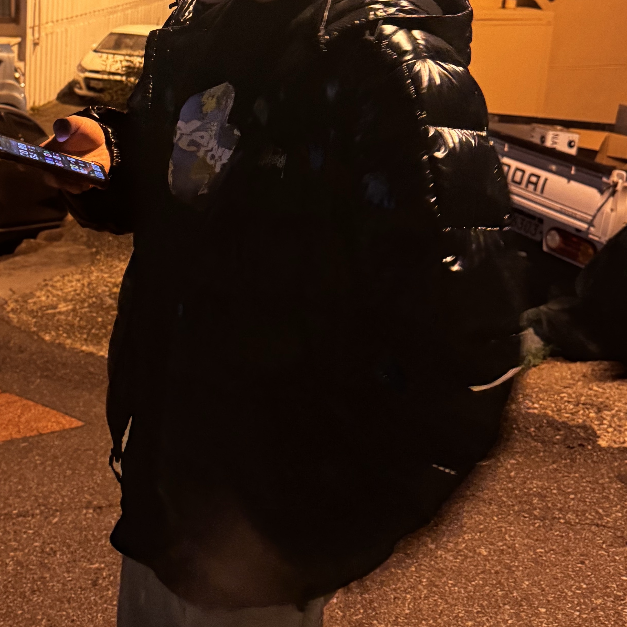 Stussy Midweight Hooded Puffer Black 착용 스타일