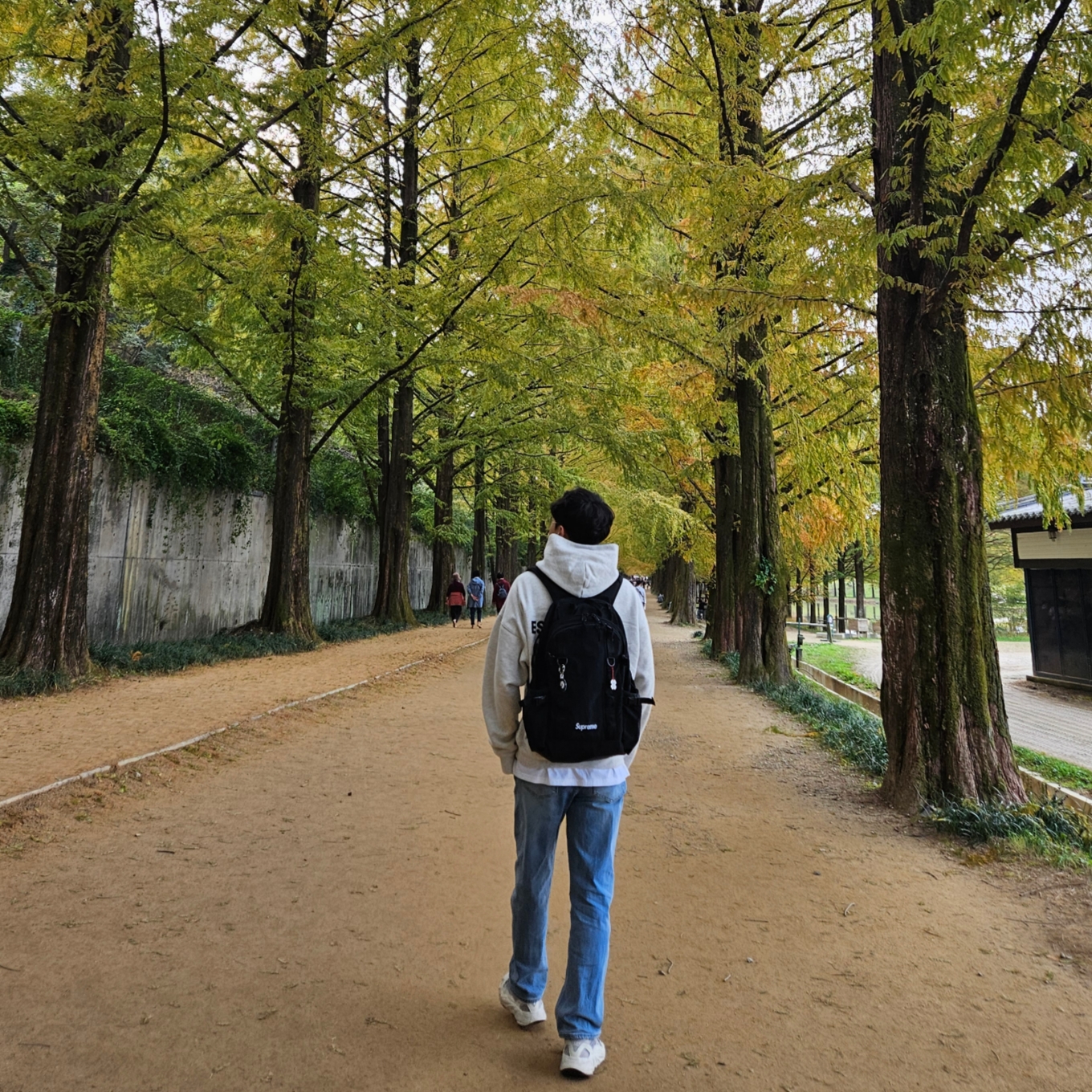 Essentials The Core Collection Hoodie Light Oatmeal, Supreme Backpack Black - 20FW 착용 스타일