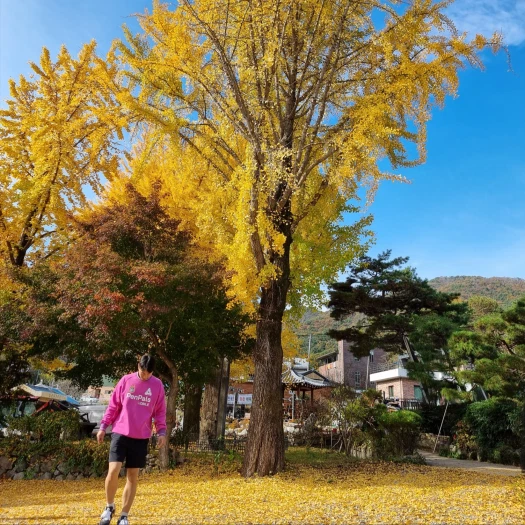 스타일 카드