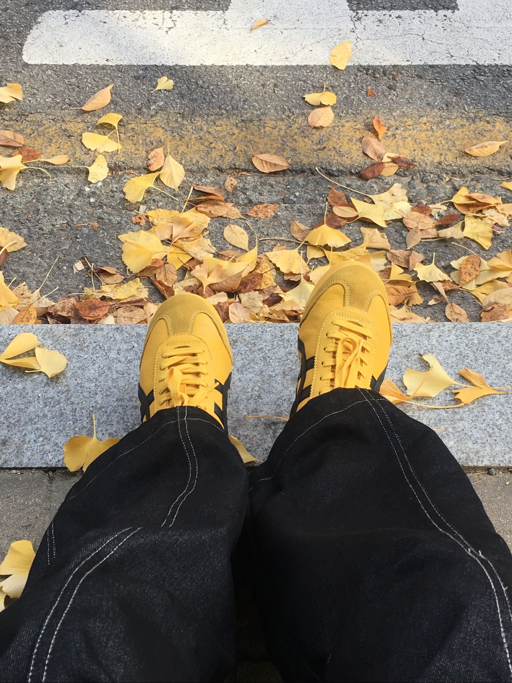 Onitsuka Tiger Mexico 66 Yellow Black μ°©μ© μ€νμΌ