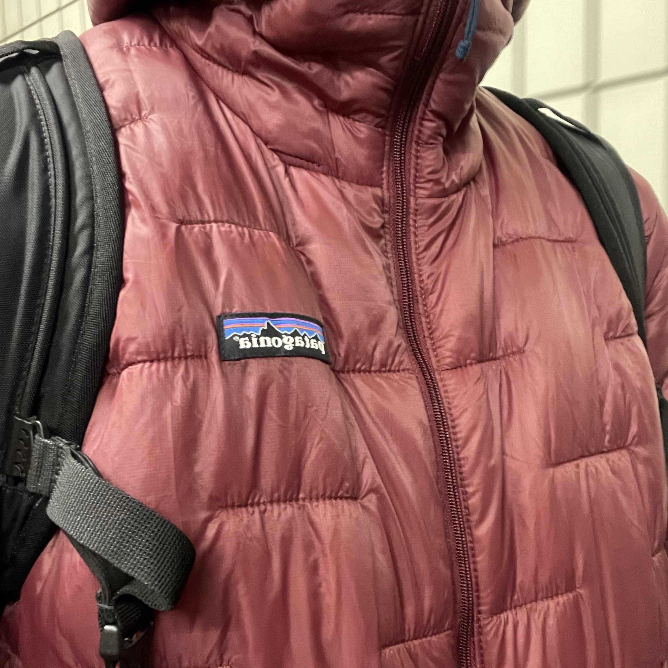 Patagonia Micro Puff Hoody Black, Carhartt WIP Columbia Ripstop Regular Cargo Pants Cypress 착용 스타일 - 2