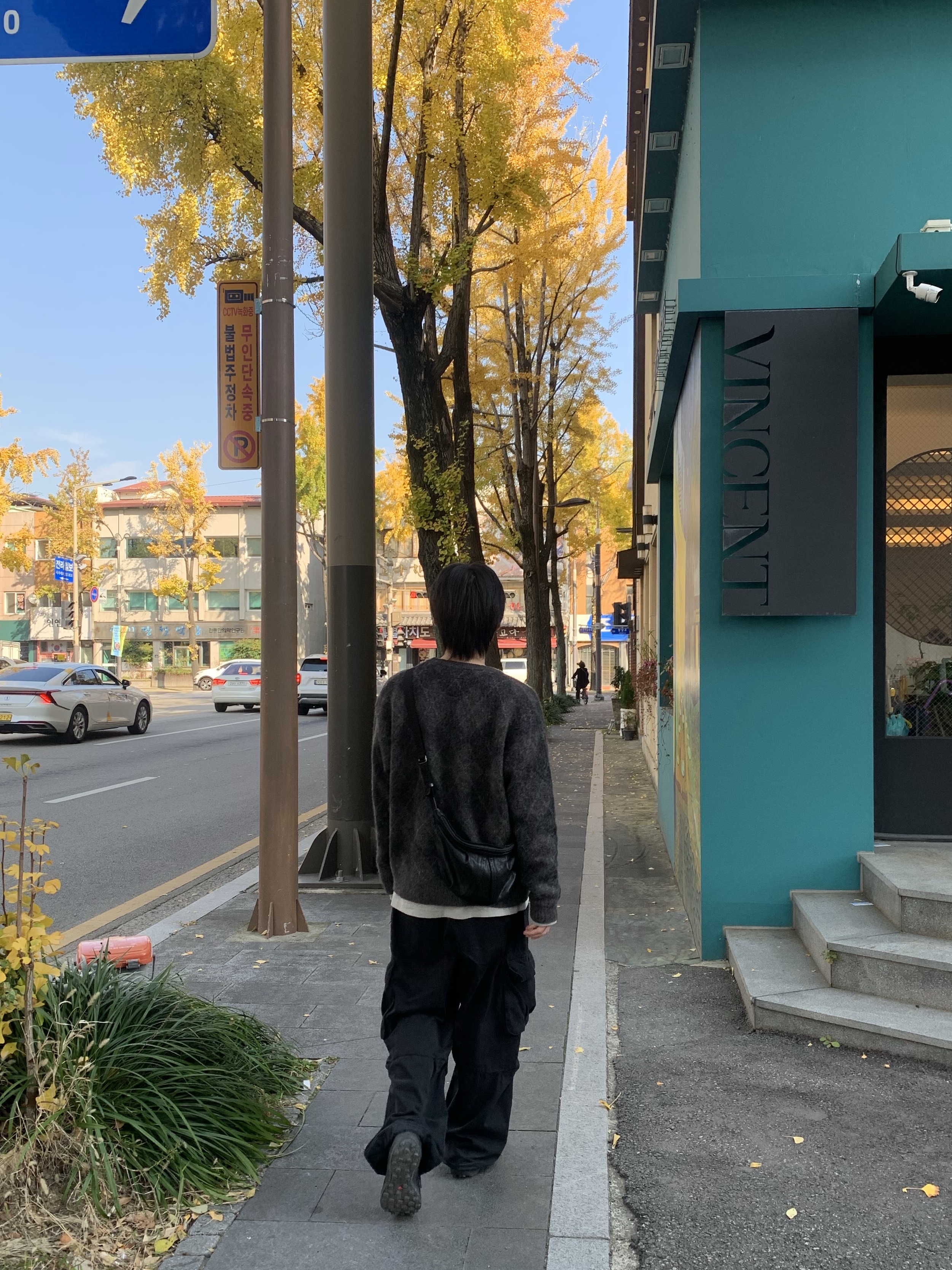 Polyteru Calf Bag Black Lambskin, Polyteru Belted Cargo Pants 1.2v Black 착용 스타일 - 1