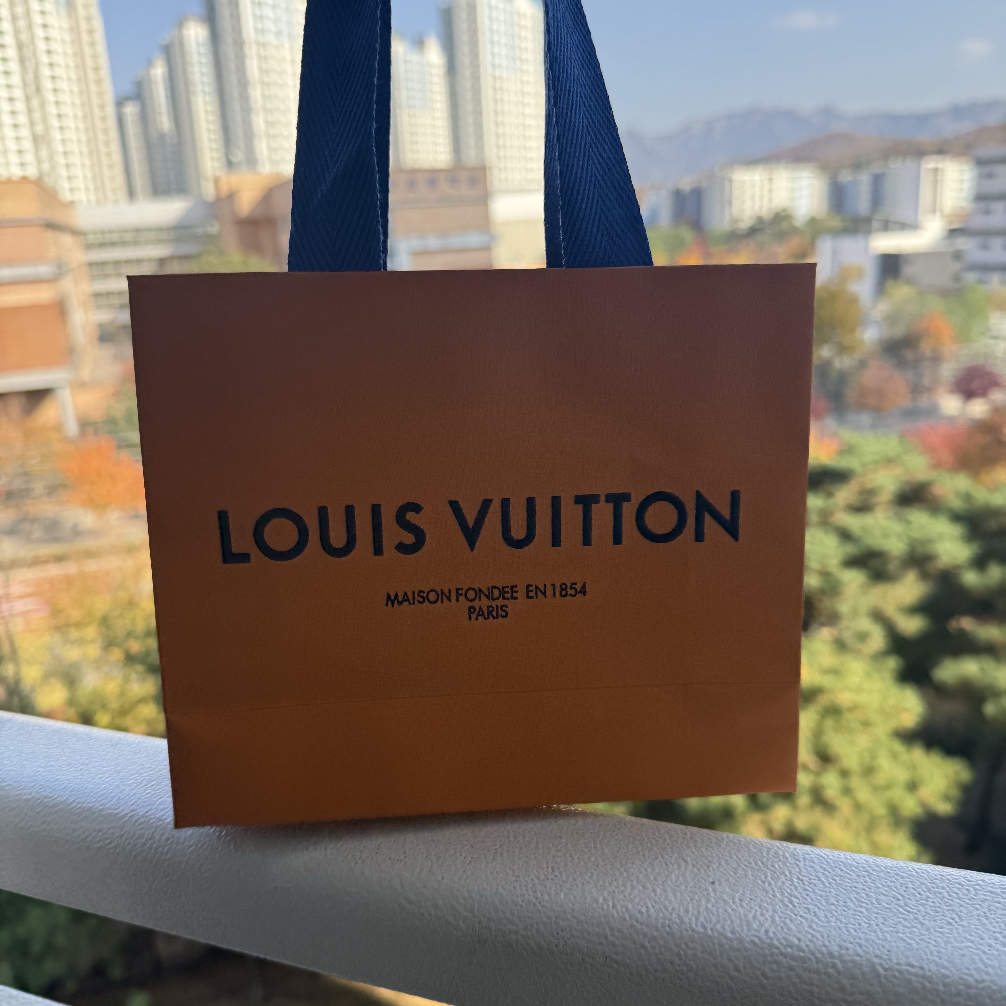 Louis Vuitton Pocket Organizer Cloud Monogram 착용 스타일 - 1