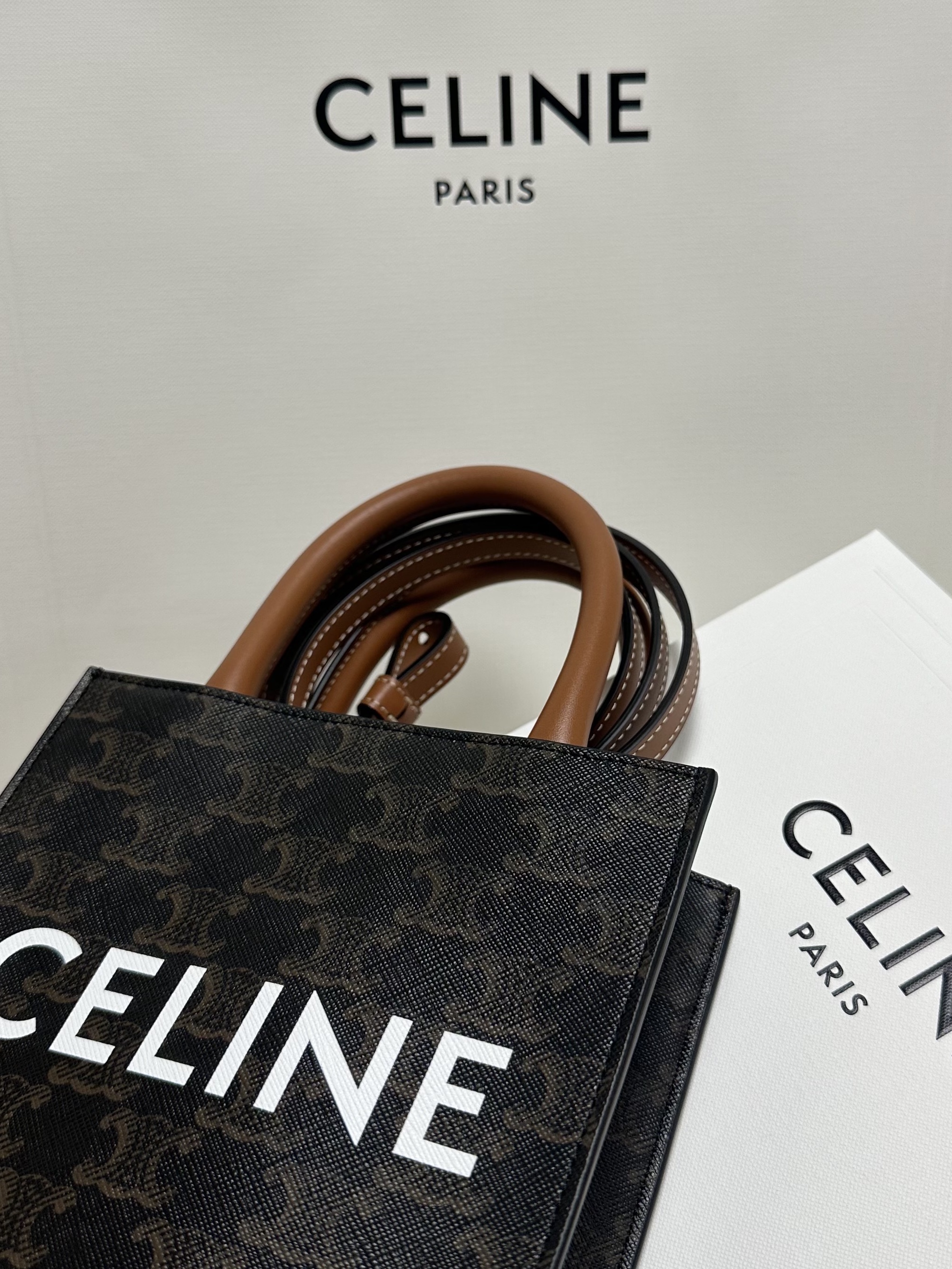 Celine Mini Vertical Cabas in Triomphe Canvas and Calfskin with Celine Print Tan 착용 스타일