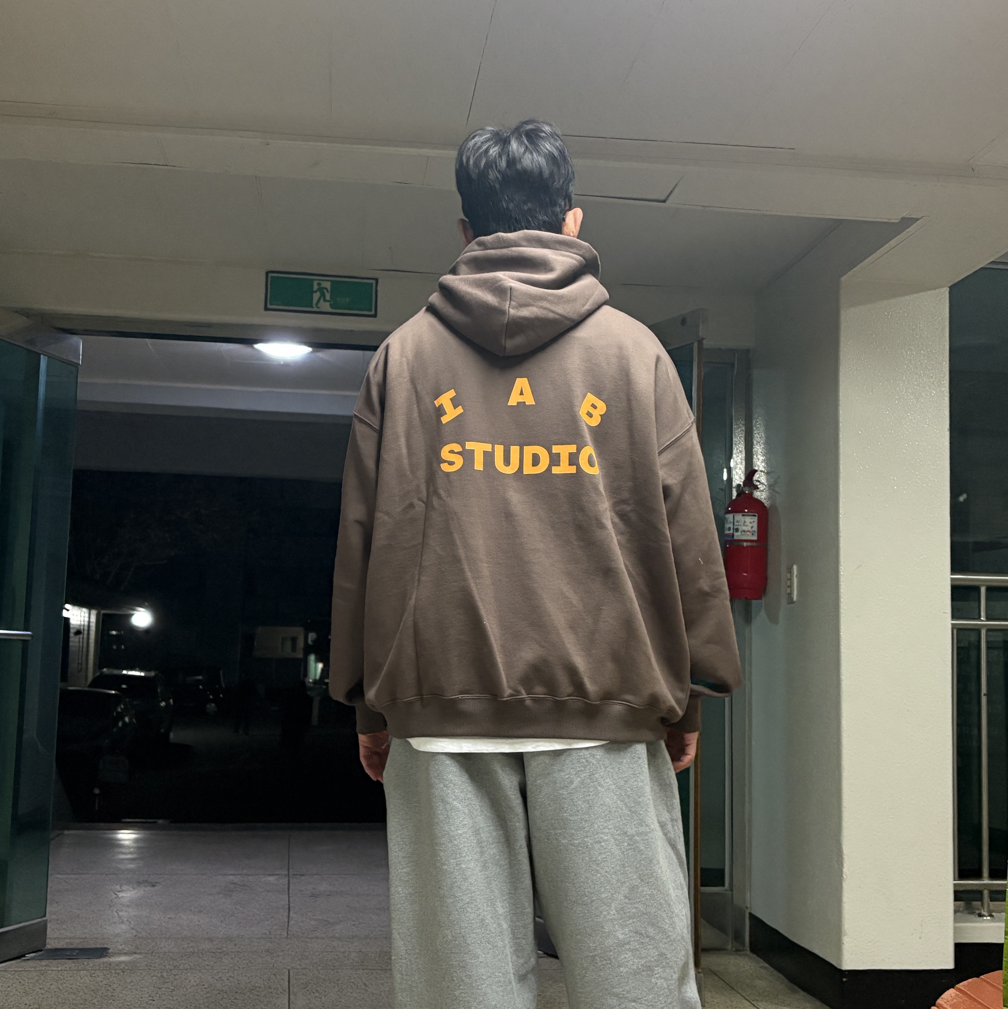 Kia Tigers x IAB Studio V12 Hoodie Brown 착용 스타일 - 2