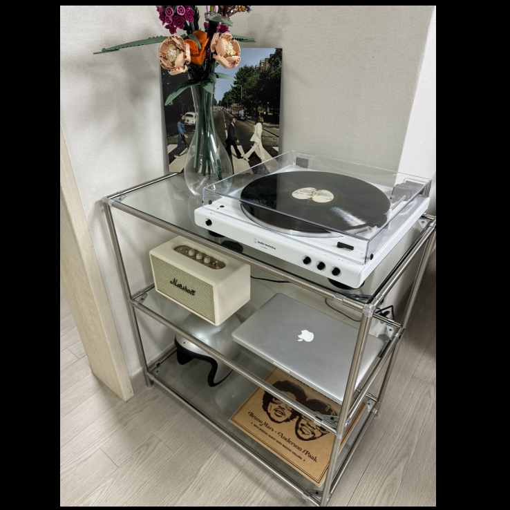 Marshall Acton III Bluetooth Cream (Korean Ver.), Lego Flower Bouquet 착용 스타일