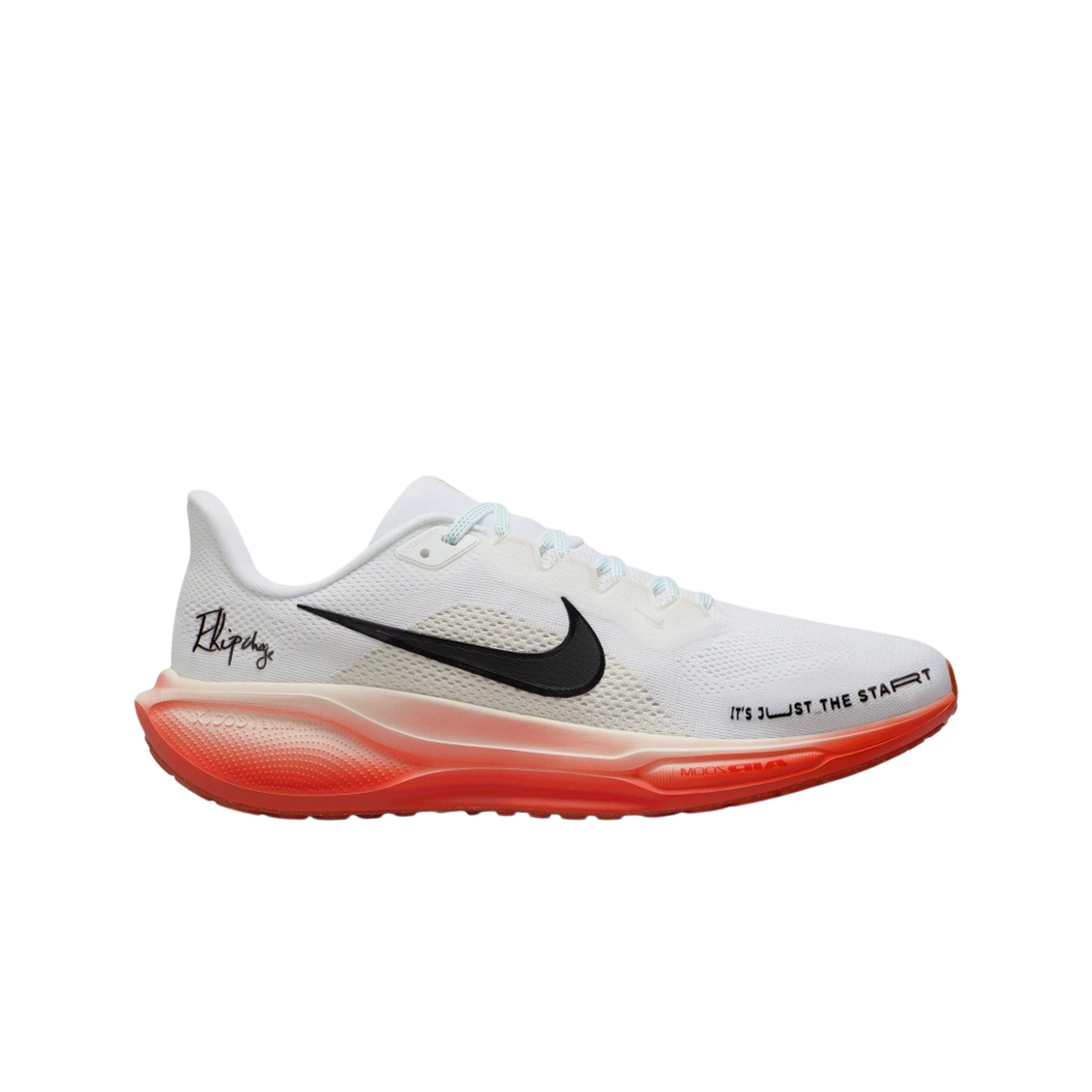 nike pegasus racer