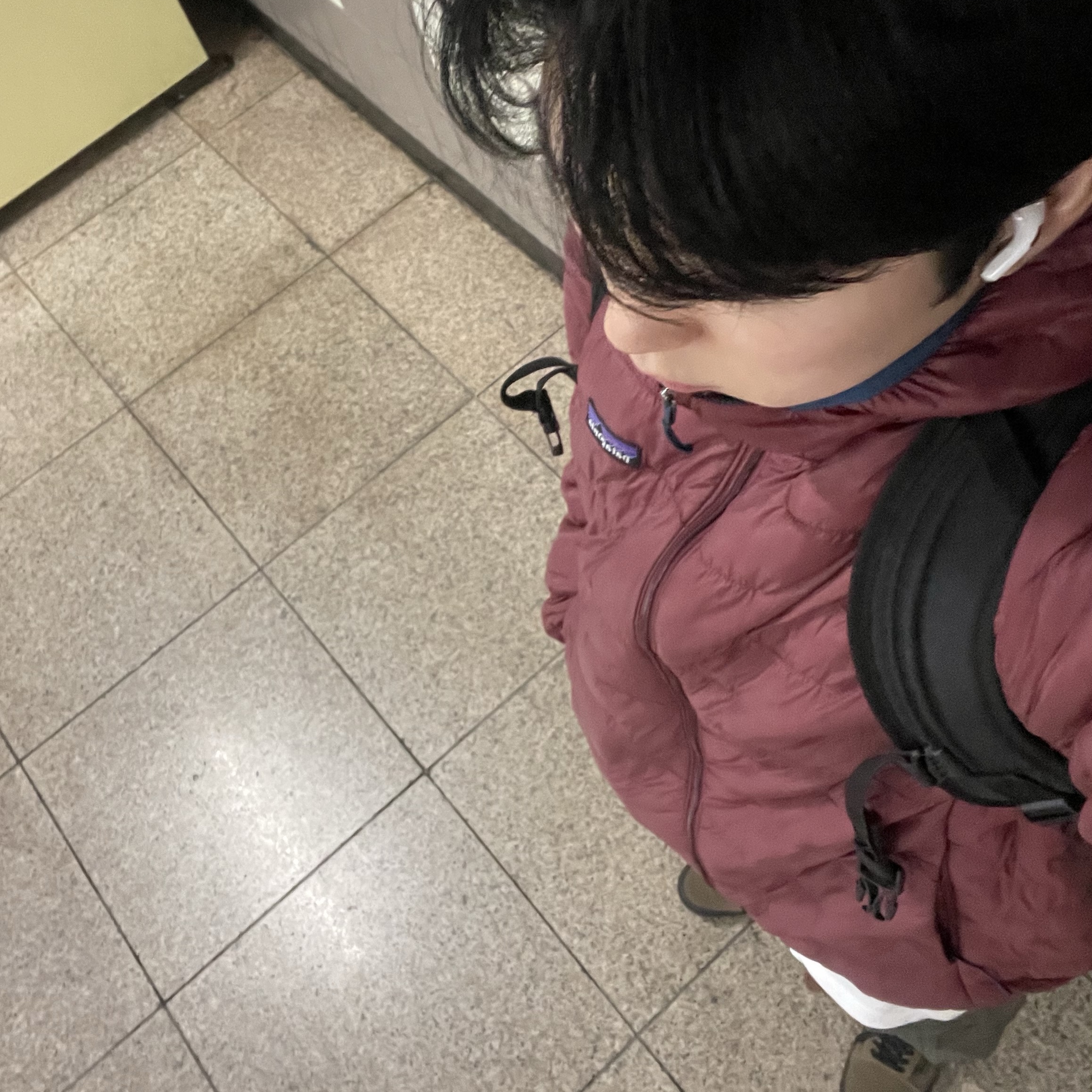 Patagonia Micro Puff Hoody Black, Carhartt WIP Columbia Ripstop Regular Cargo Pants Cypress 착용 스타일 - 4