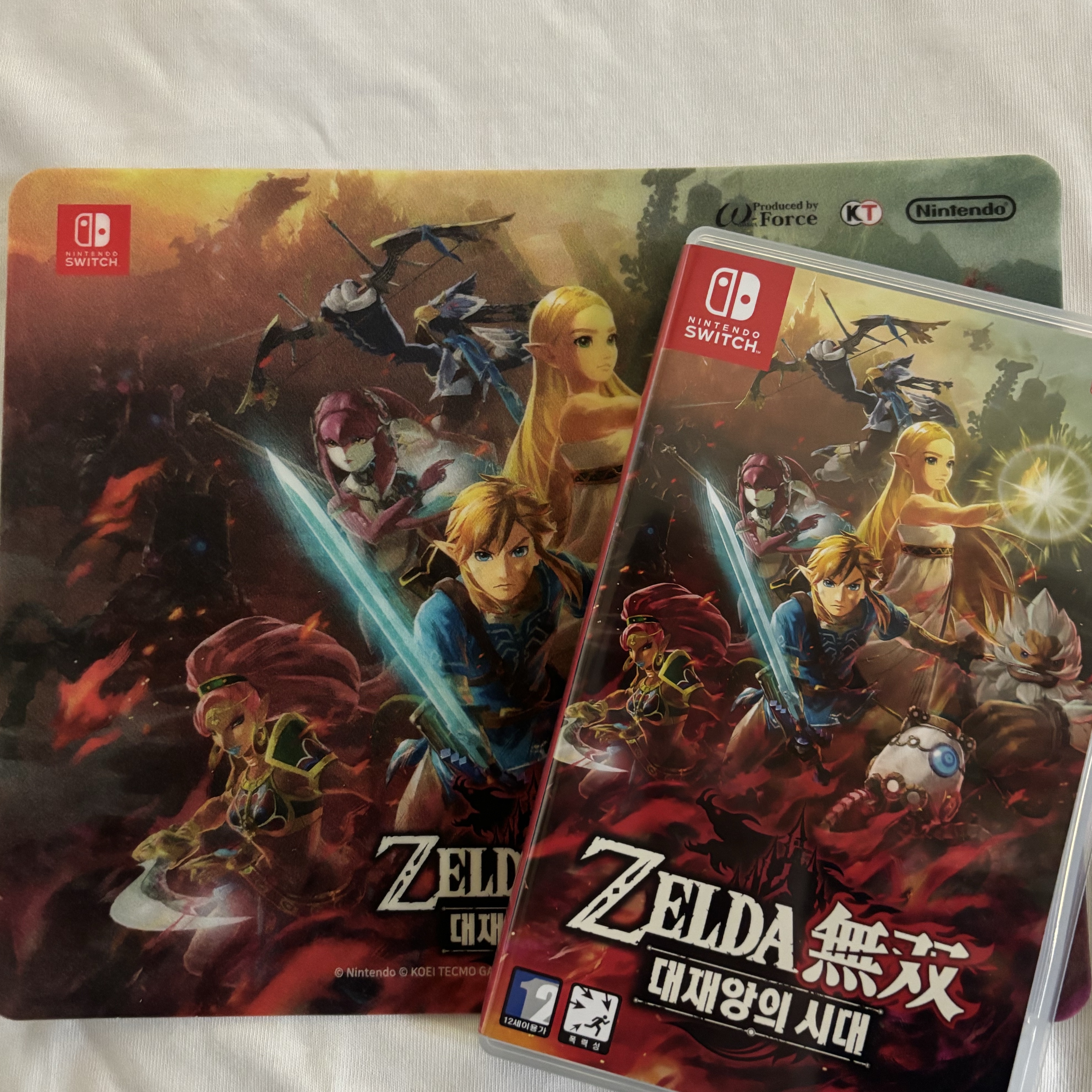 Nintendo Switch Hyrule Warriors: Age of Calamity (Korean Ver.) 착용 스타일 - 1