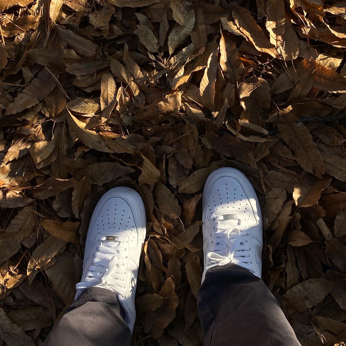 Nike Air Force 1 '07 Low White 착용 스타일