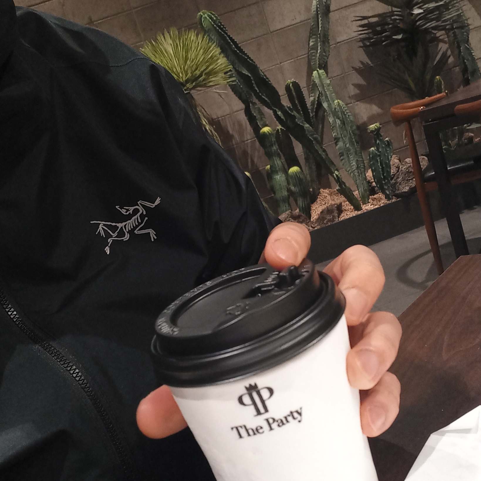 Arc'teryx Solano Hoody Black 착용 스타일 - 2