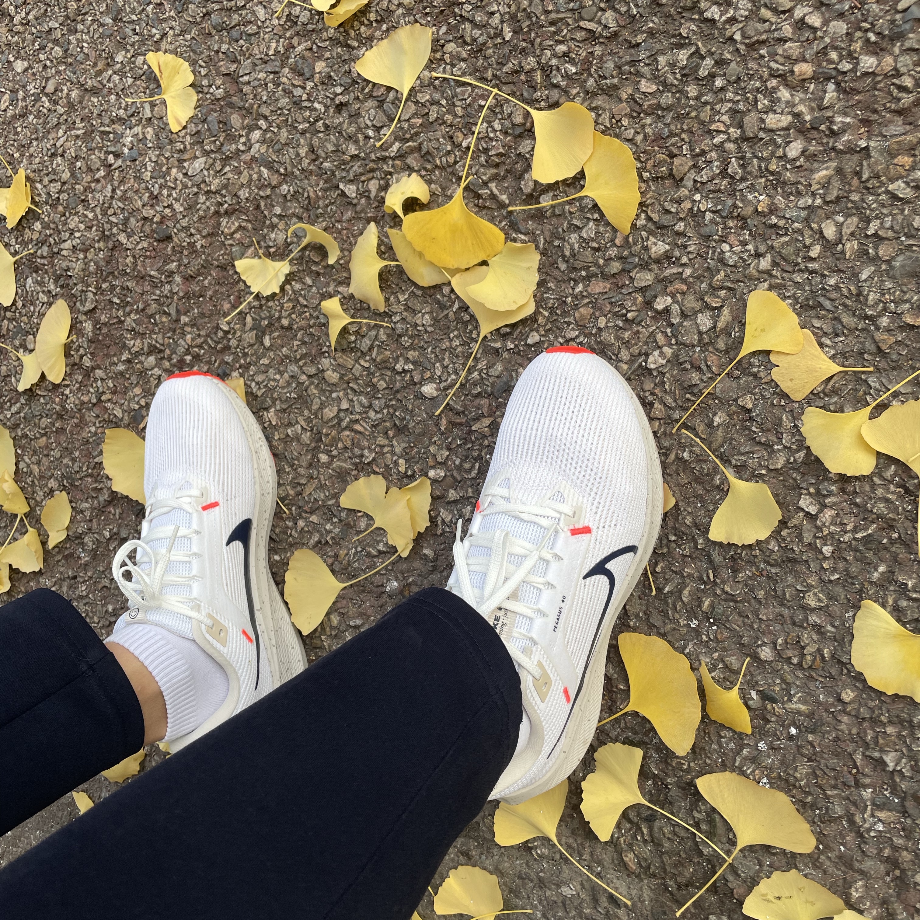 Nike Air Zoom Pegasus 40 White Obsidian 착용 스타일 - 2