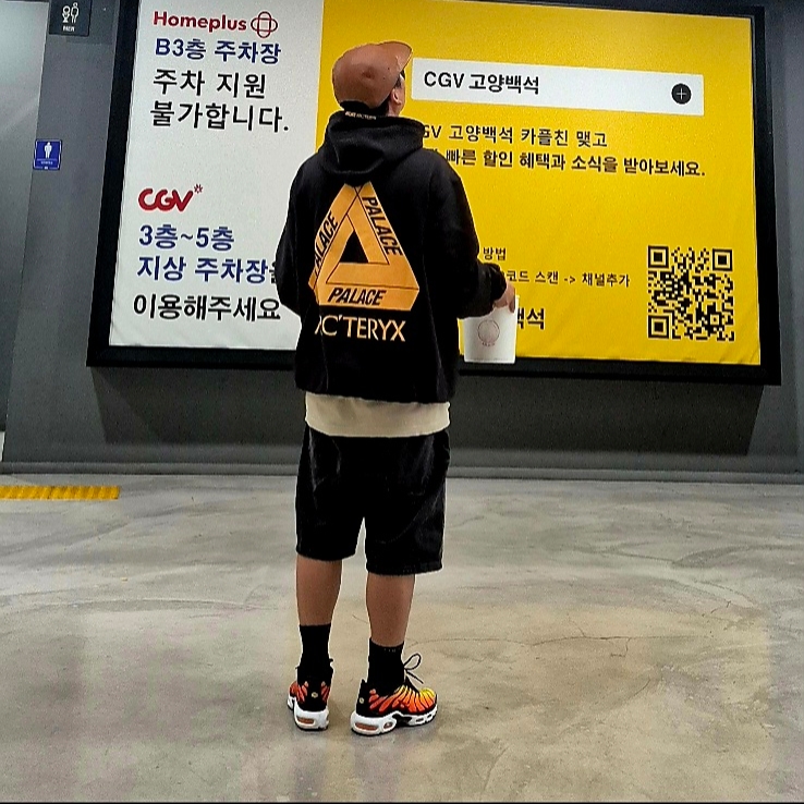 Nike Air Max Plus Bright Ceramic and Tour Yellow, Palace x Arc'teryx Hood Black - 20FW 착용 스타일