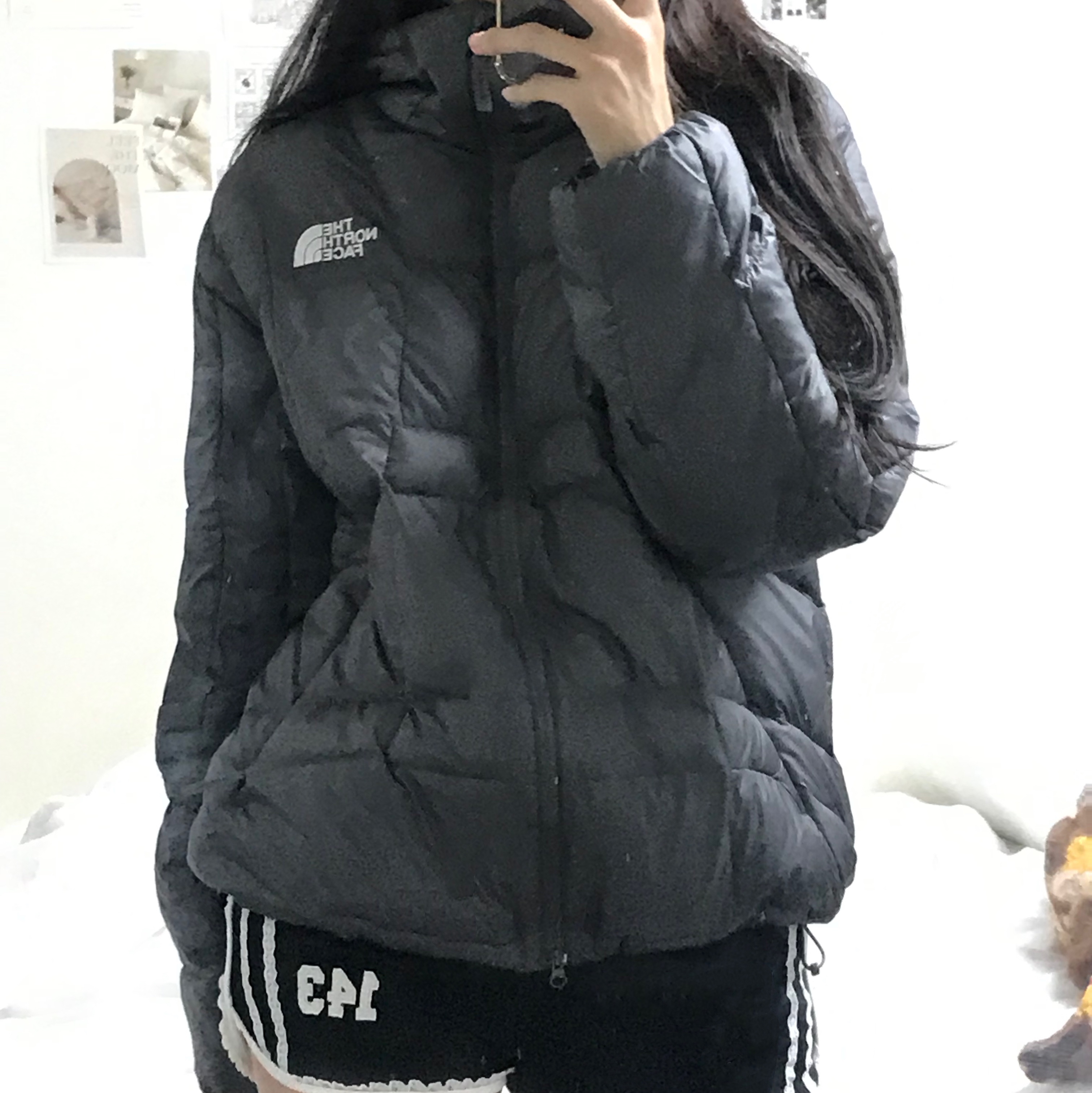 The North Face White Label Wave LT On Ball Jacket Gray 착용 스타일 - 3