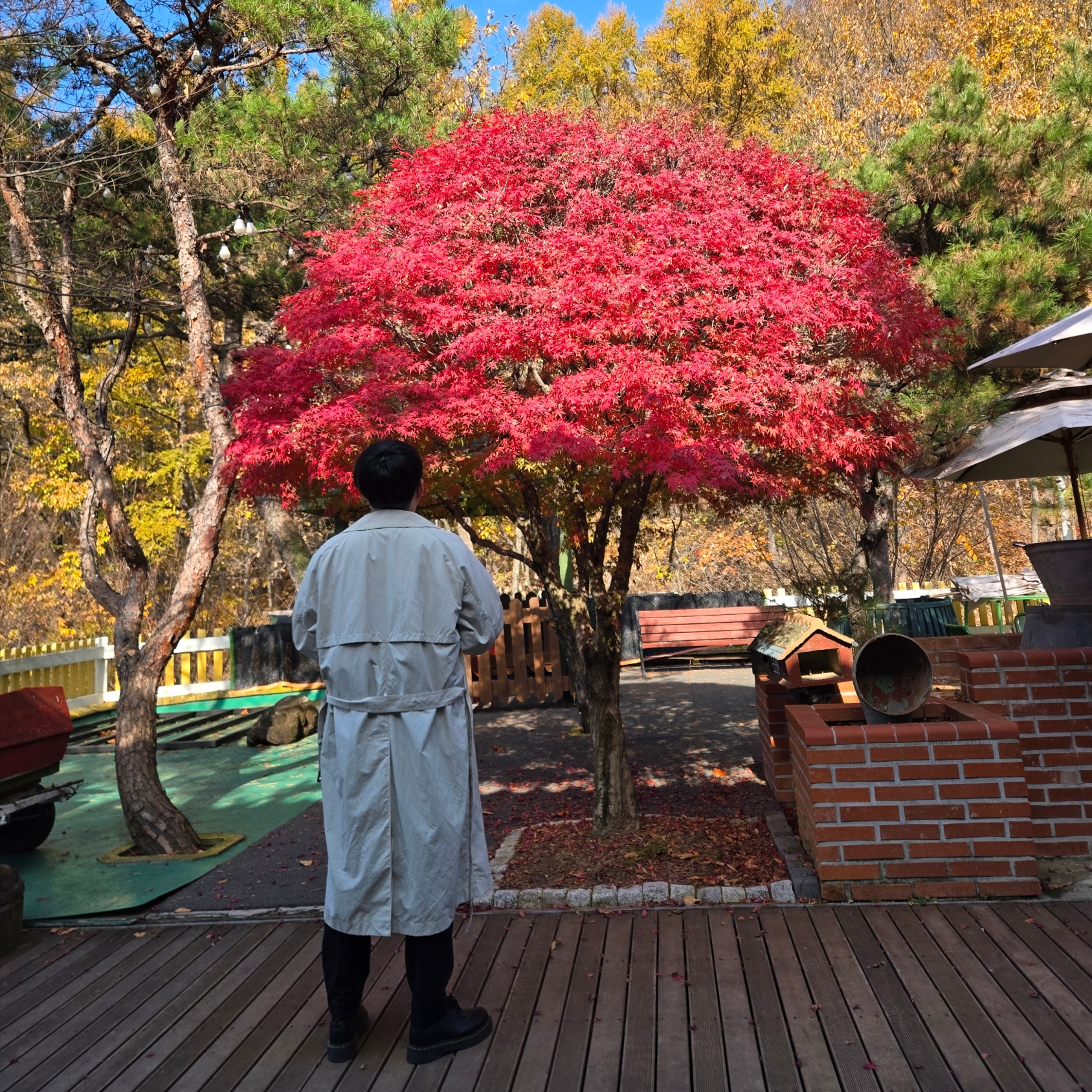 Uniqlo U Trench Coat Natural, Dr. Martens 1461 Nappa Black 착용 스타일 - 1