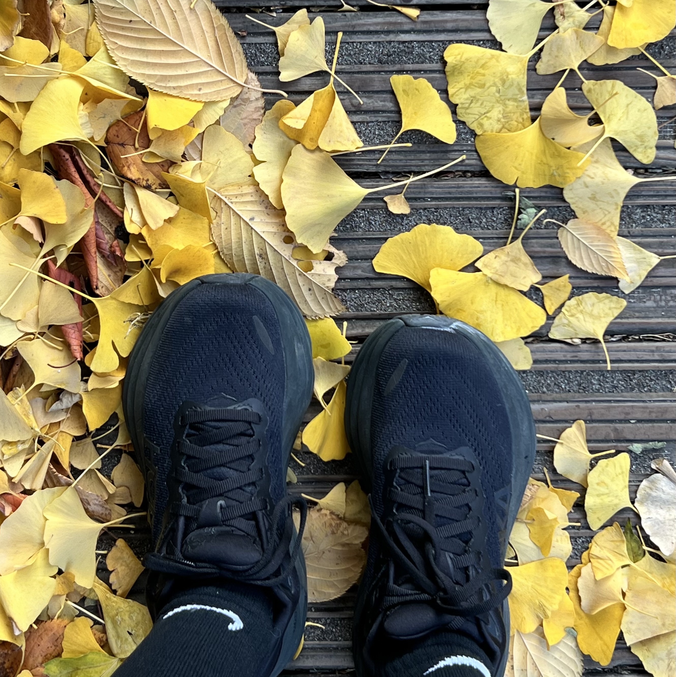 (W) Hoka Bondi 8 Black - Regular 착용 스타일