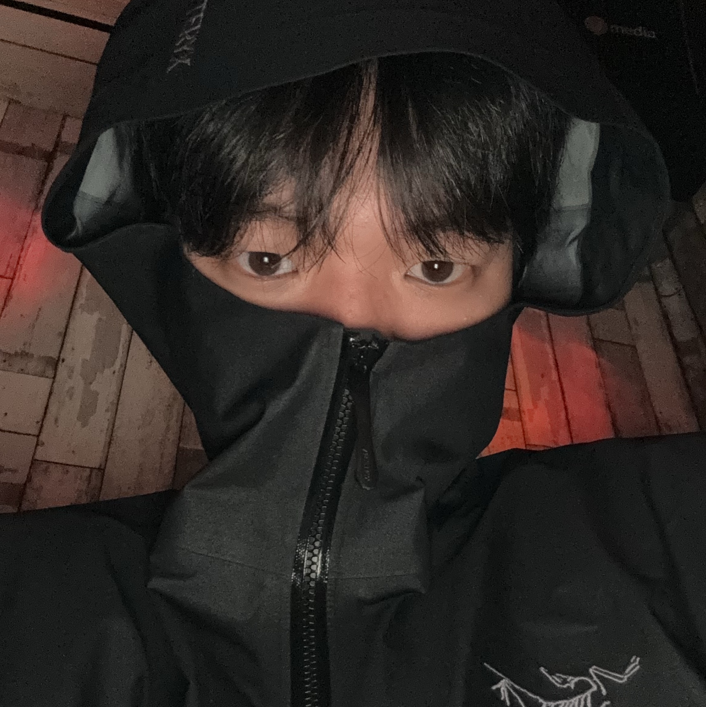 Arc'teryx Beta SL Jacket Black 착용 스타일