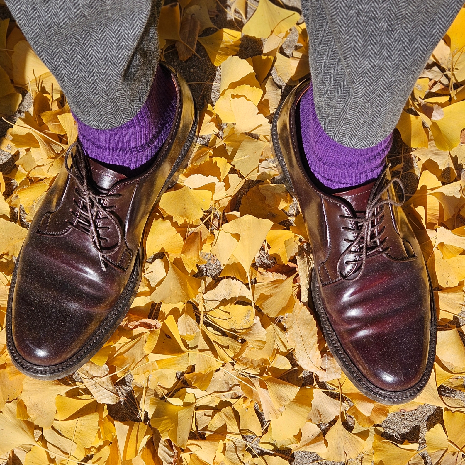 Alden 990 Cordovan Plain Toe Blucher Oxford Burgundy - D, Rolex Submariner 41mm 124060 Black Oyster 착용 스타일 - 5