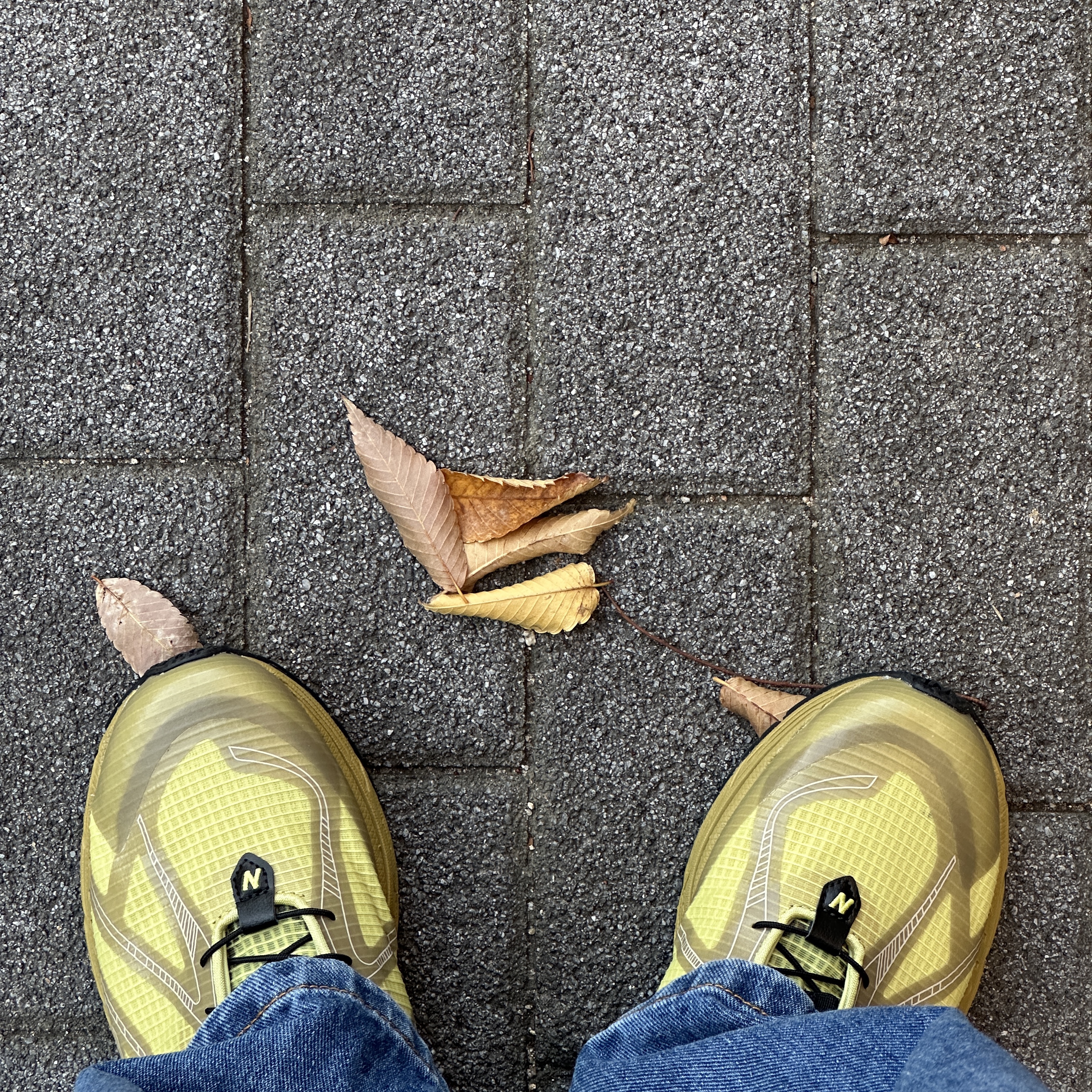 New Balance x Cayl 1906R Yellow 착용 스타일