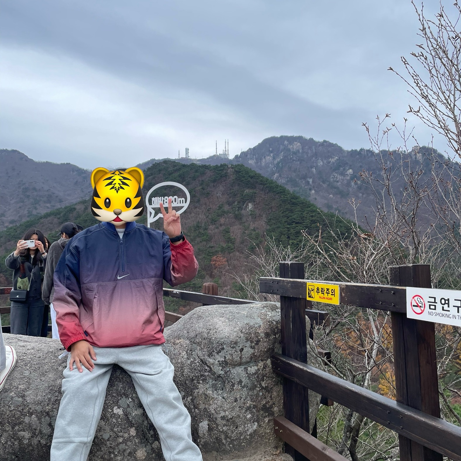 Supreme x Nike Ripstop Pullover Multicolor - 24SS 착용 스타일