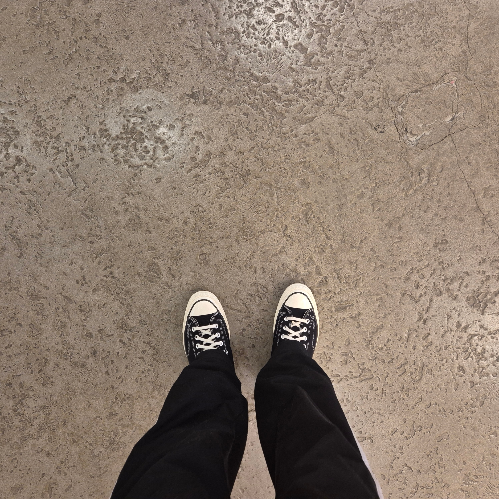 Converse Chuck 70 Ox Black - Standard 착용 스타일