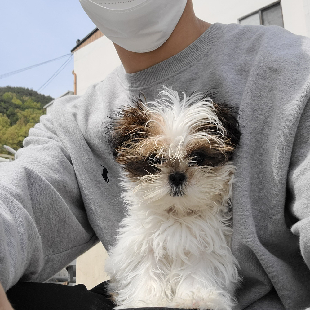 KREAM 프로필 이미지