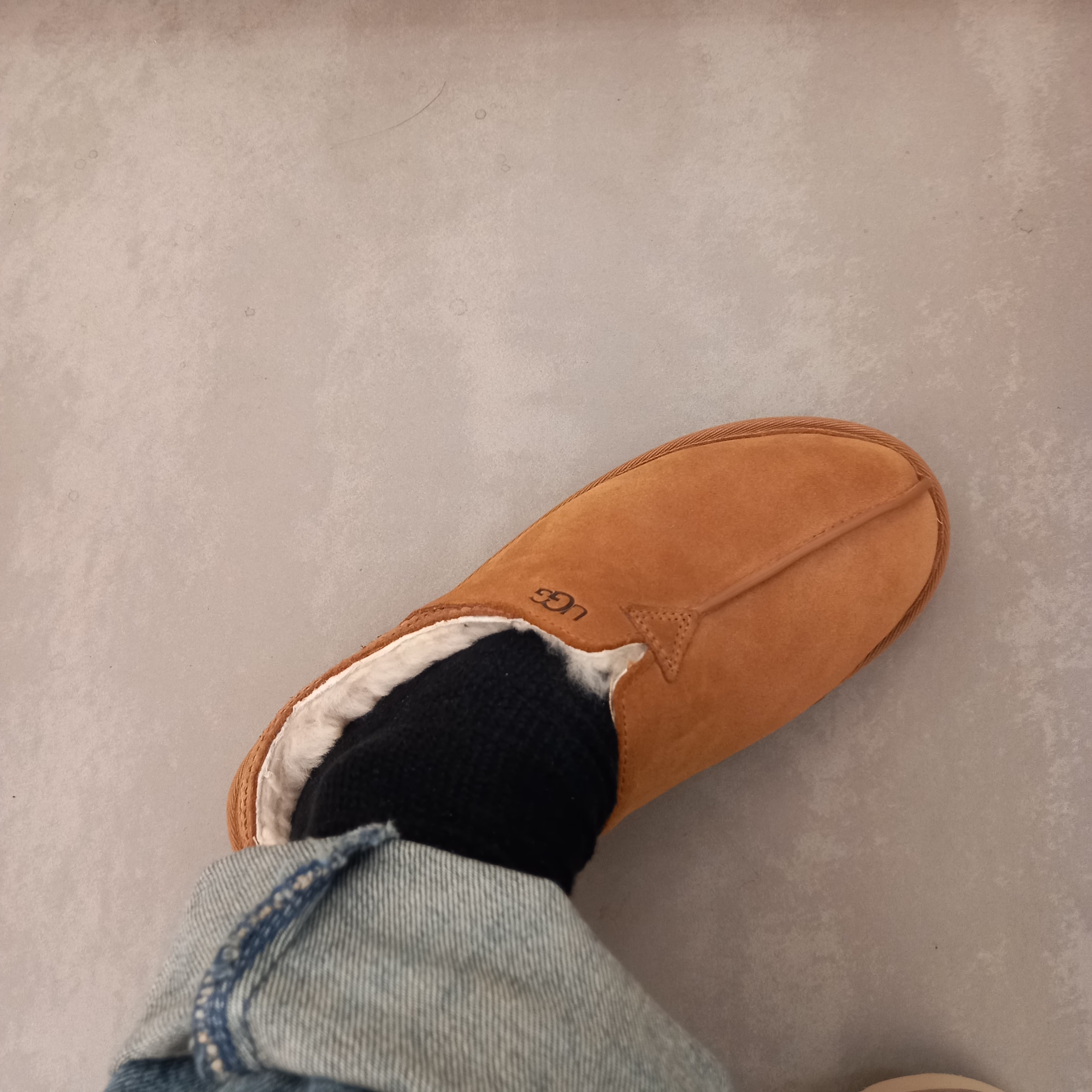 UGG Tasman Weather Hybrid Chestnut Whitecap, UGG Neuman Chestnut 착용 스타일 - 3