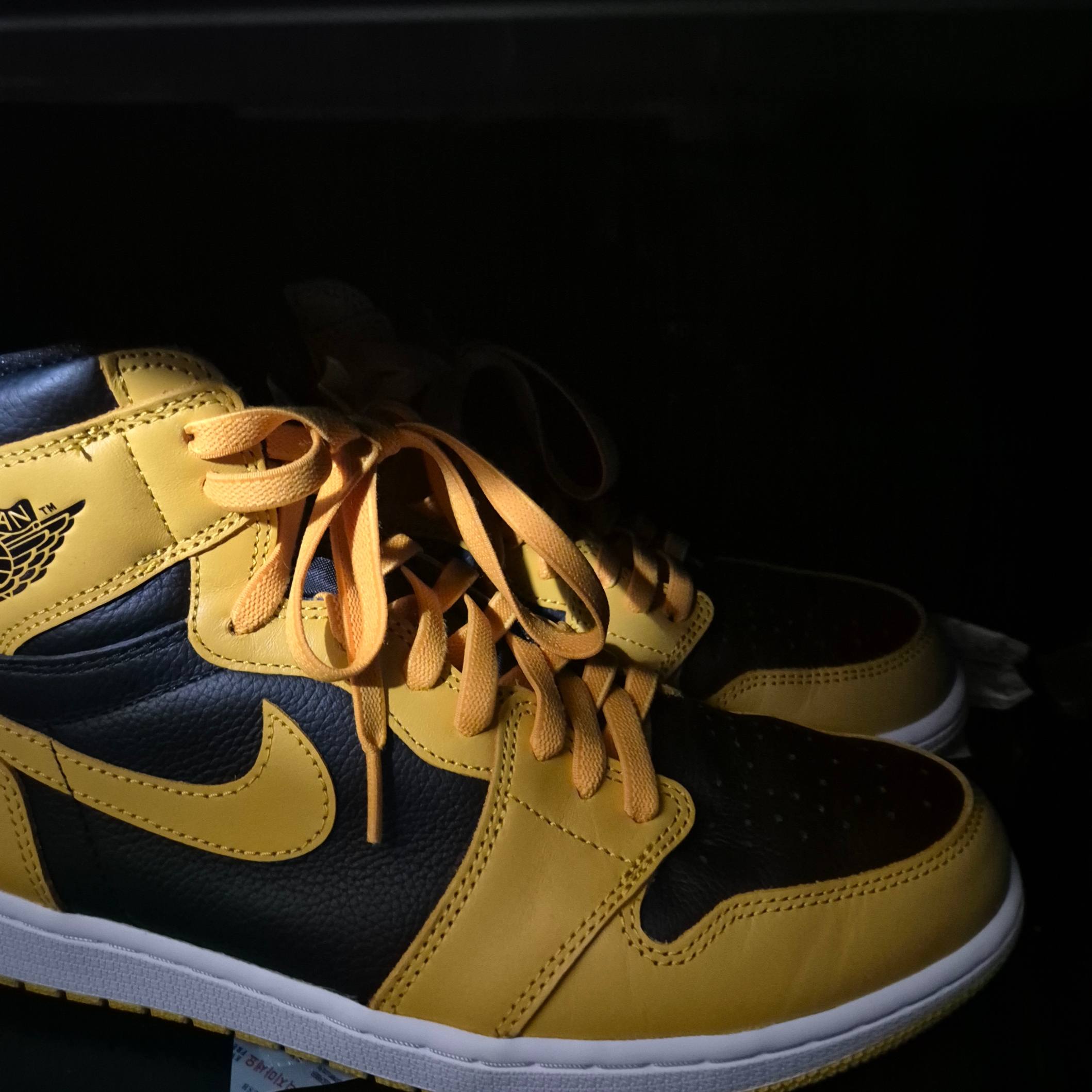Jordan 1 Retro High OG Pollen 착용 스타일